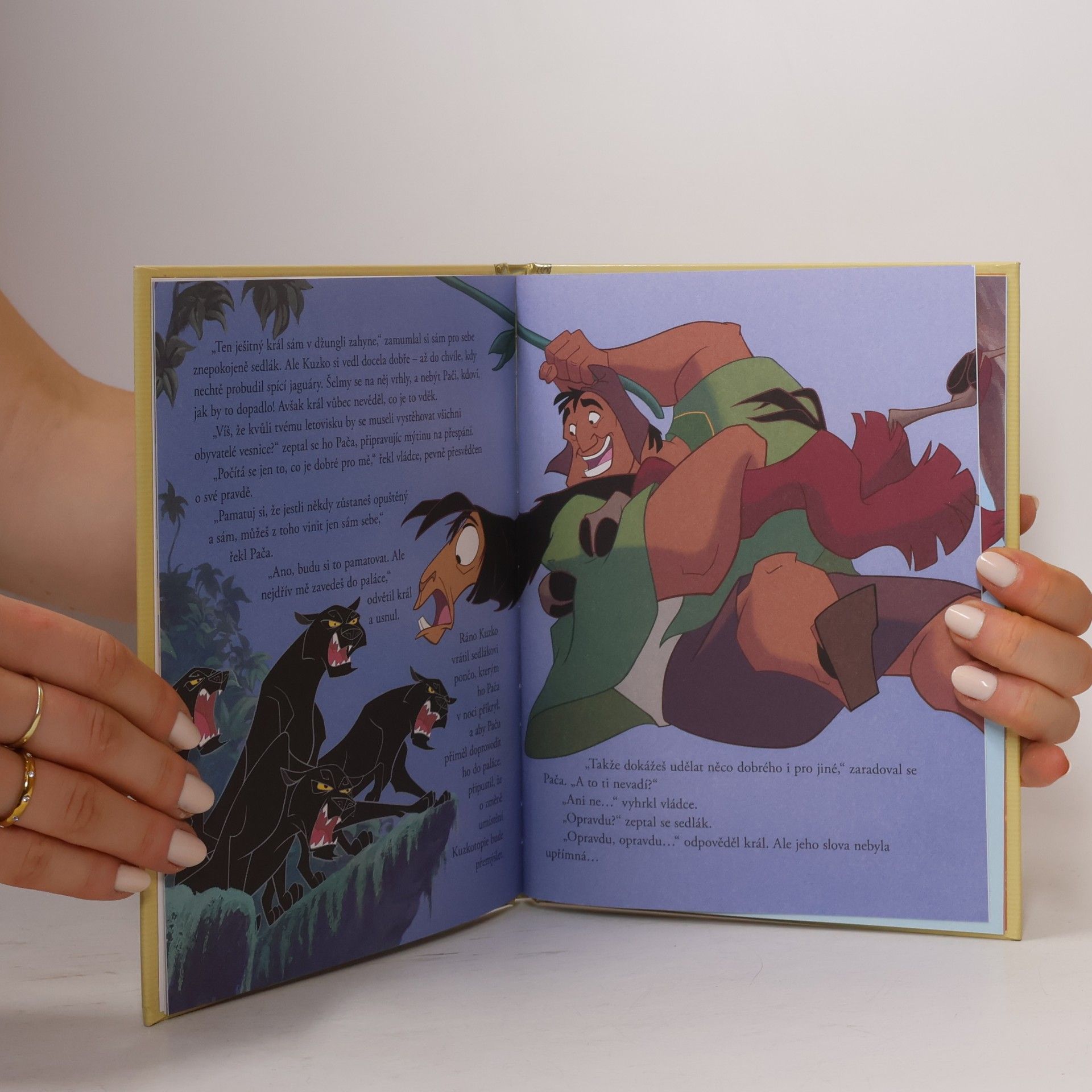 Walt Disney Zlatá sbírka pohádek 87. Není král jako král