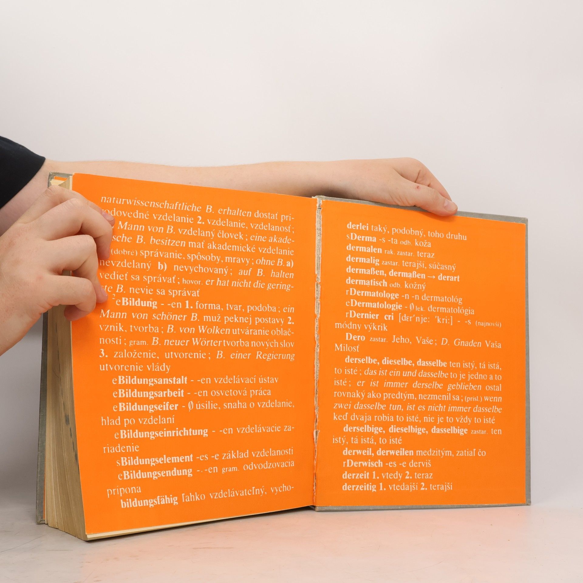 Mária Čierna Nemecko-slovenský slovník, Deutsch-slowakisches Wörterbuch