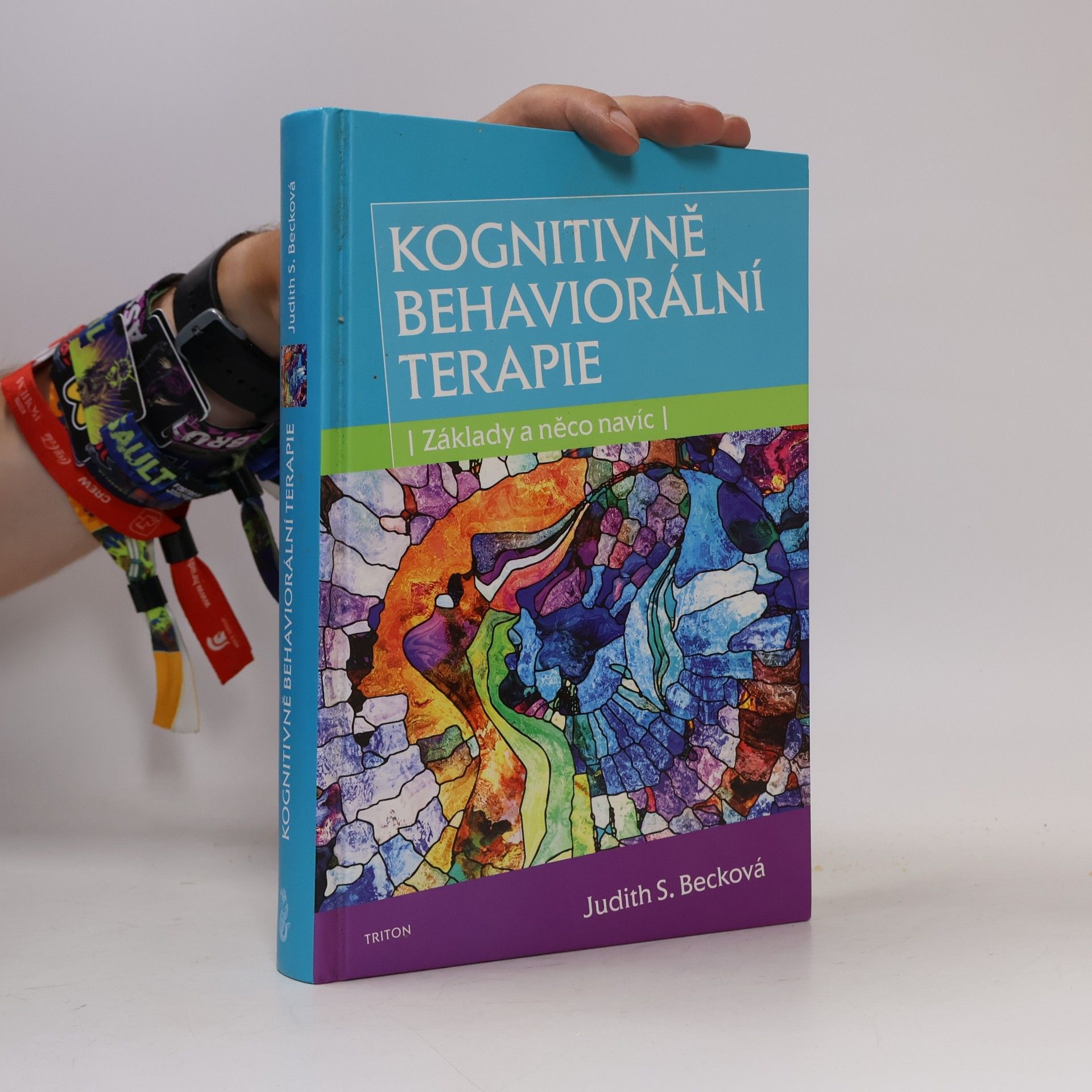 Autorenkollektiv Kognitivně behaviorální terapie. Základy a něco navíc