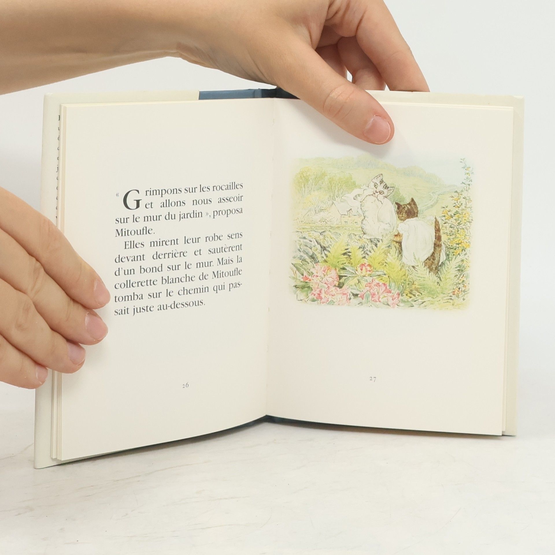 Beatrix Potterová La Bibliothèque de Pierre Lapin: Tom Chaton