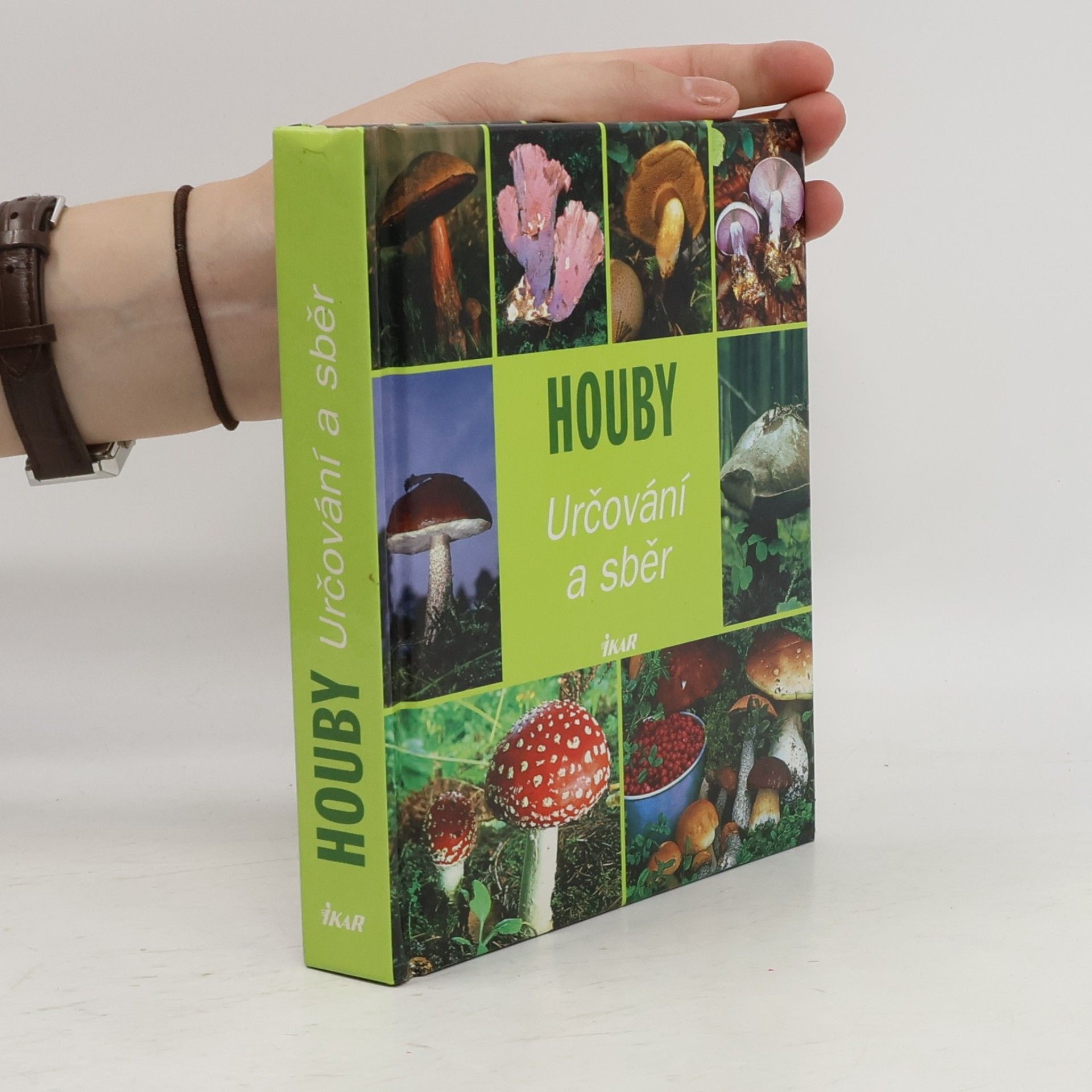 Hans W. Kothe Houby : určování a sběr