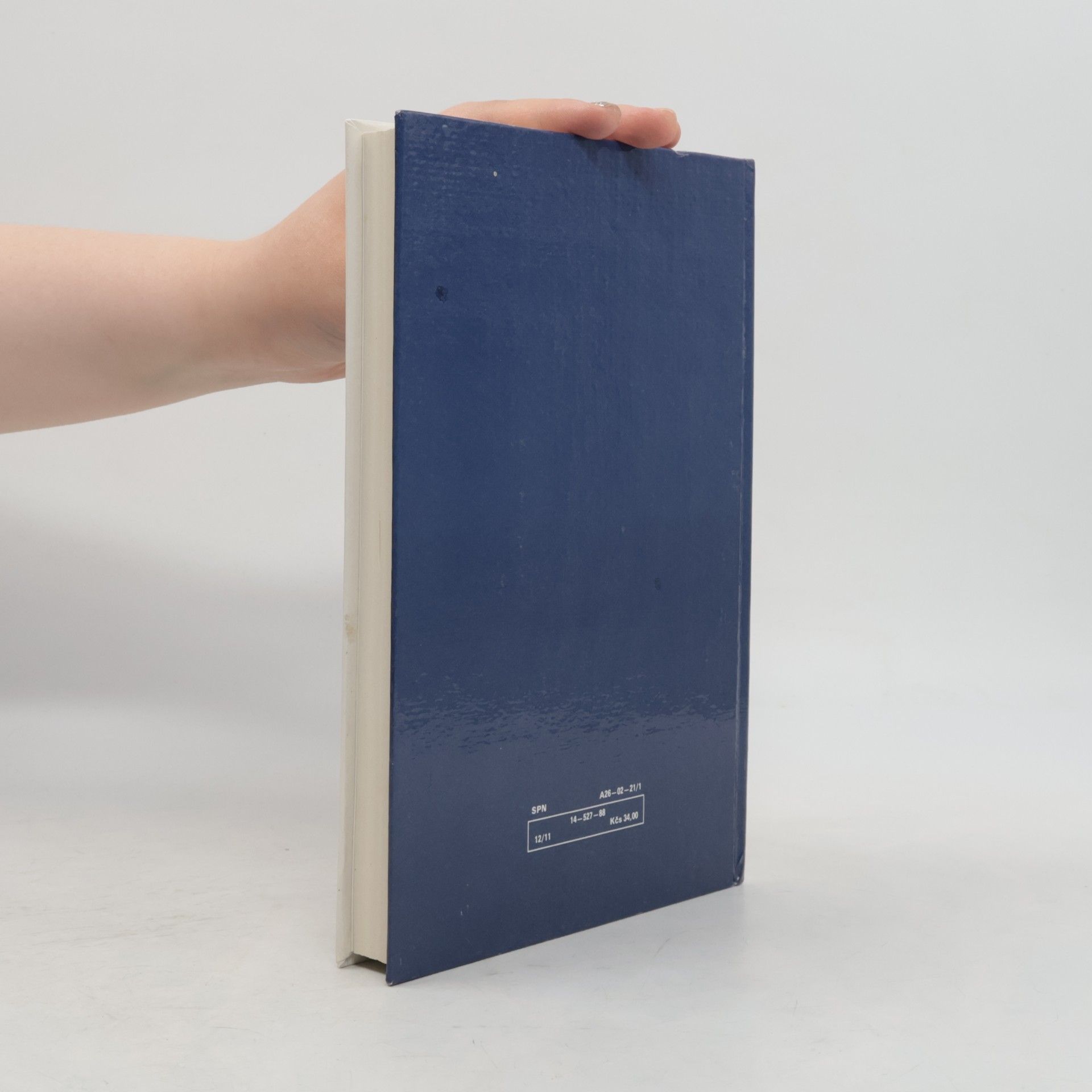 Autorenkollektiv Dějiny anglické literatury