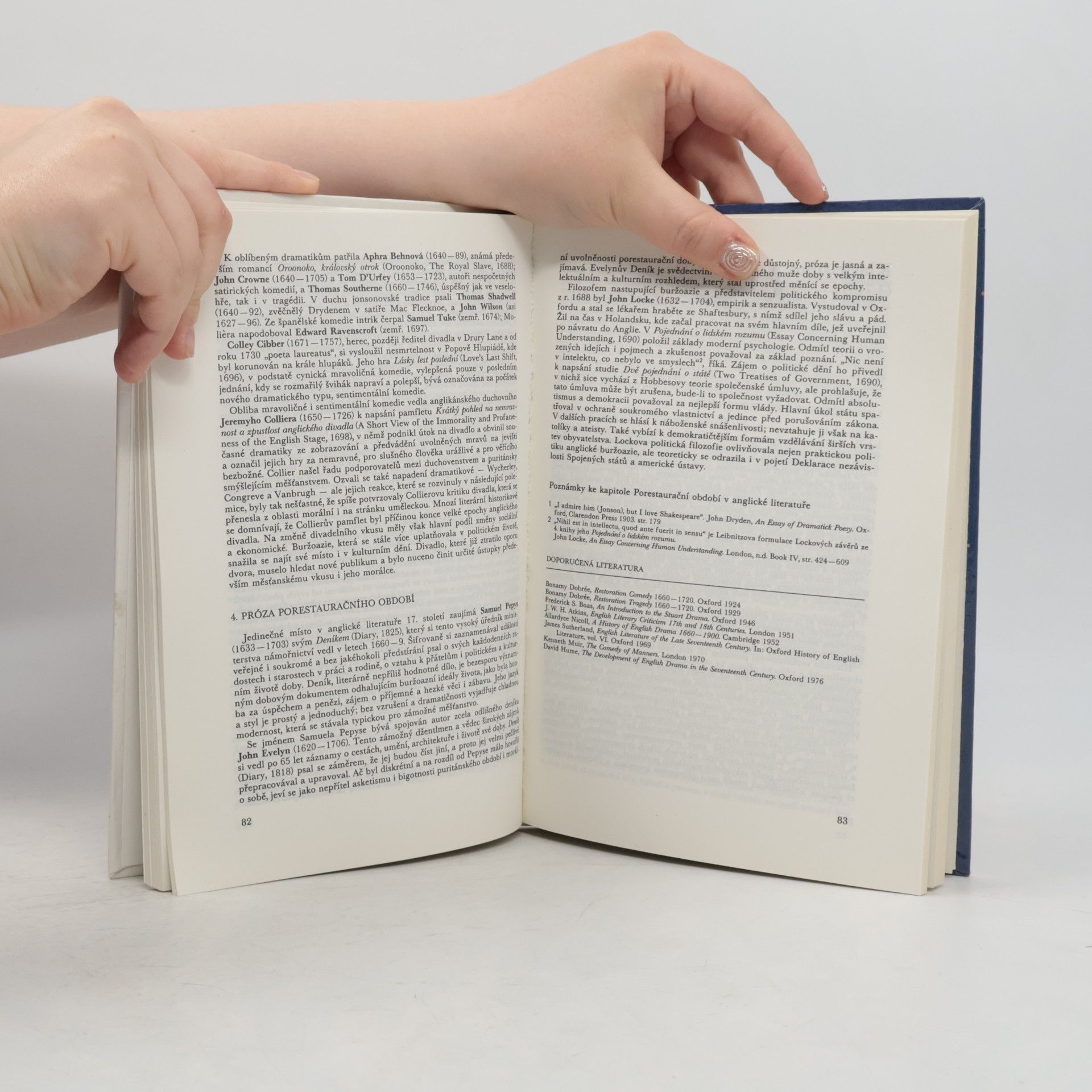 Autorenkollektiv Dějiny anglické literatury