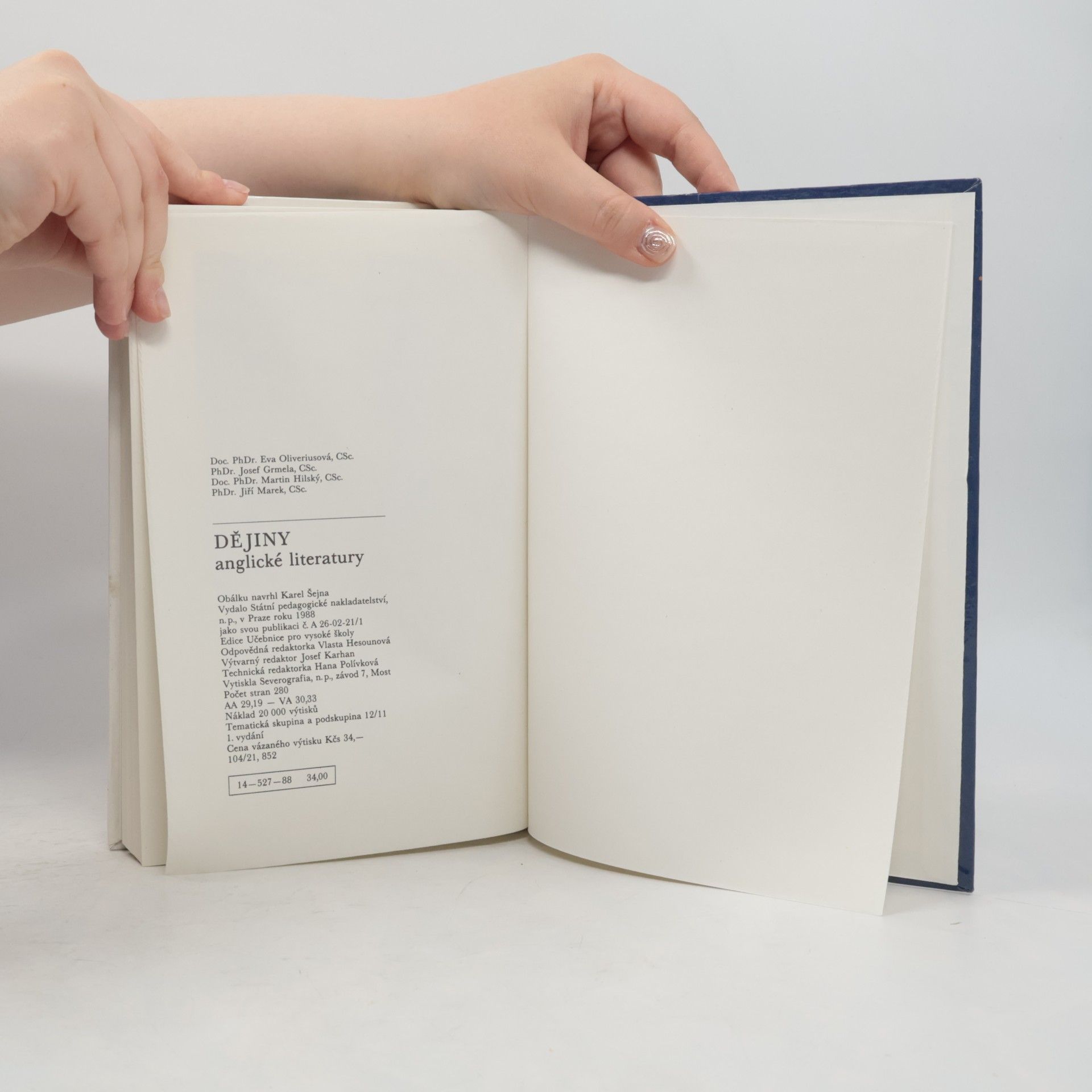 Autorenkollektiv Dějiny anglické literatury