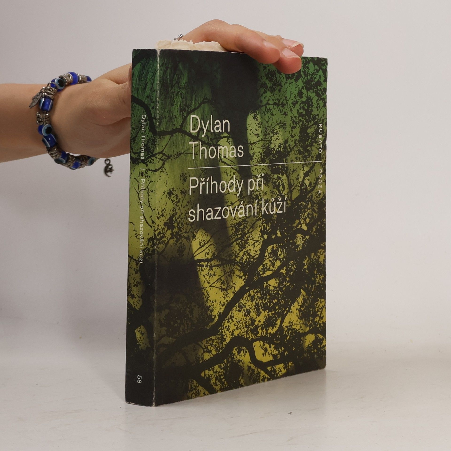 Dylan Thomas Příhody při shazování kůží