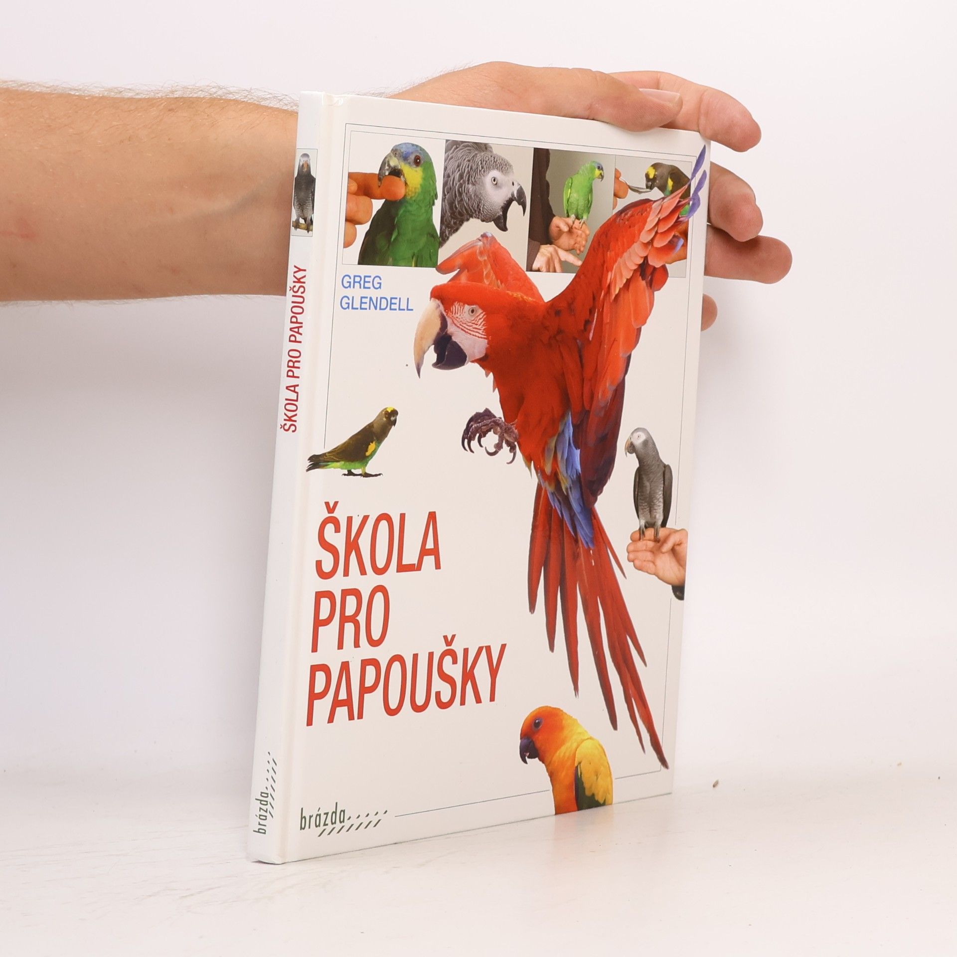 Greg Glendell Škola pro papoušky
