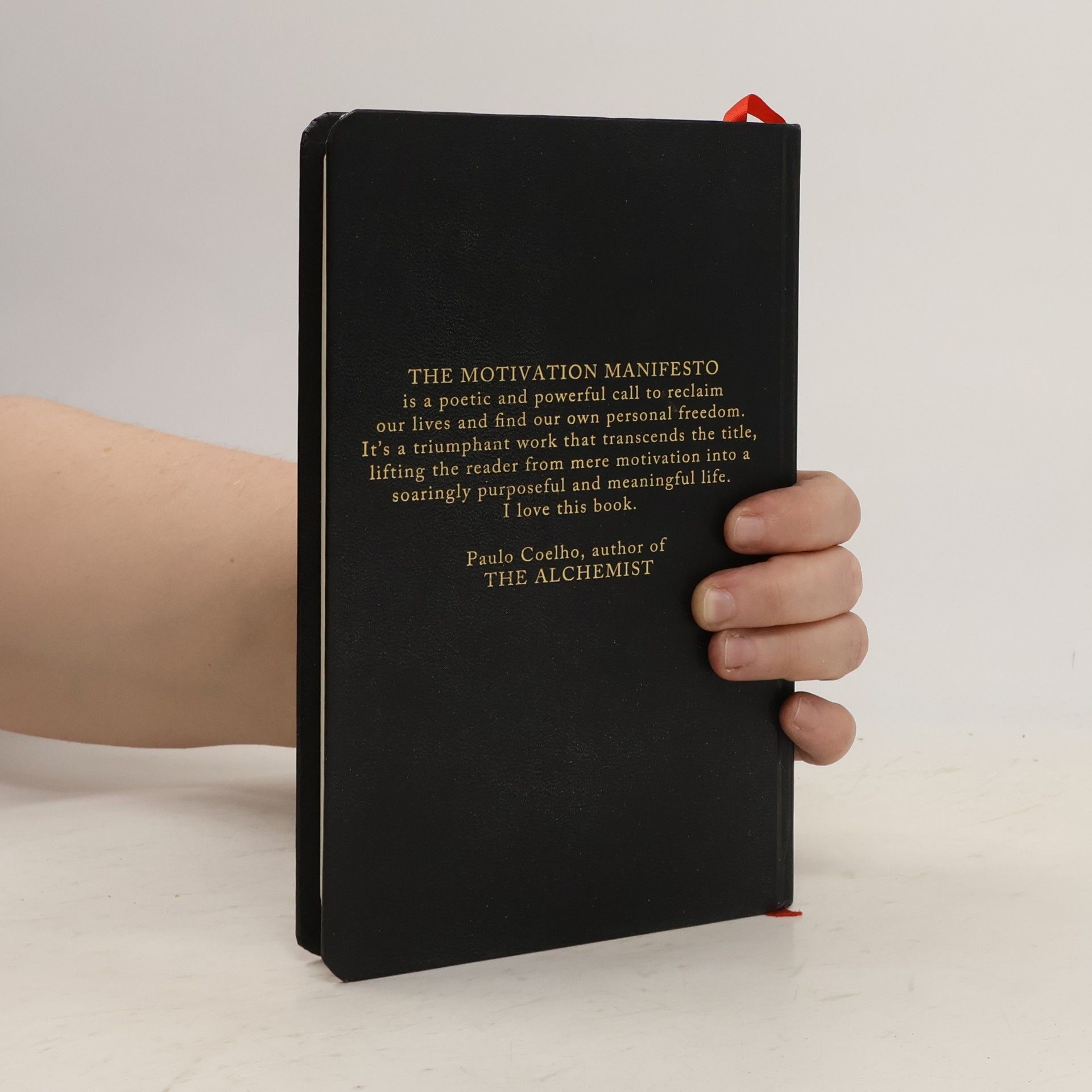 Brendon Burchard The Motivation Manifesto