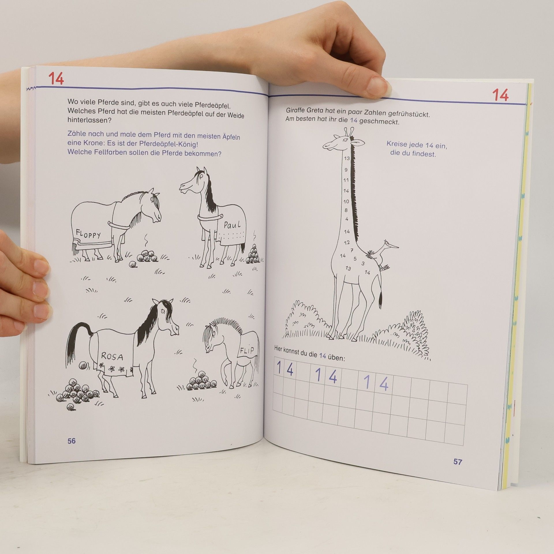 Sabine Rothmund Schlau für die Schule: Mein dickes buntes Zahlen-Buch