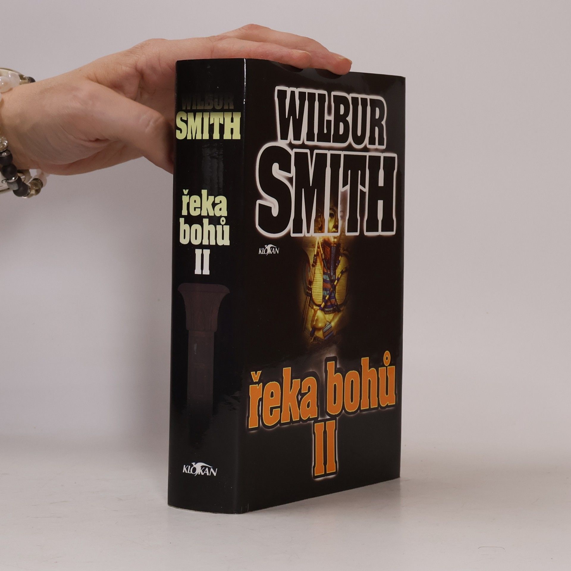 Wilbur Smith Řeka bohů II
