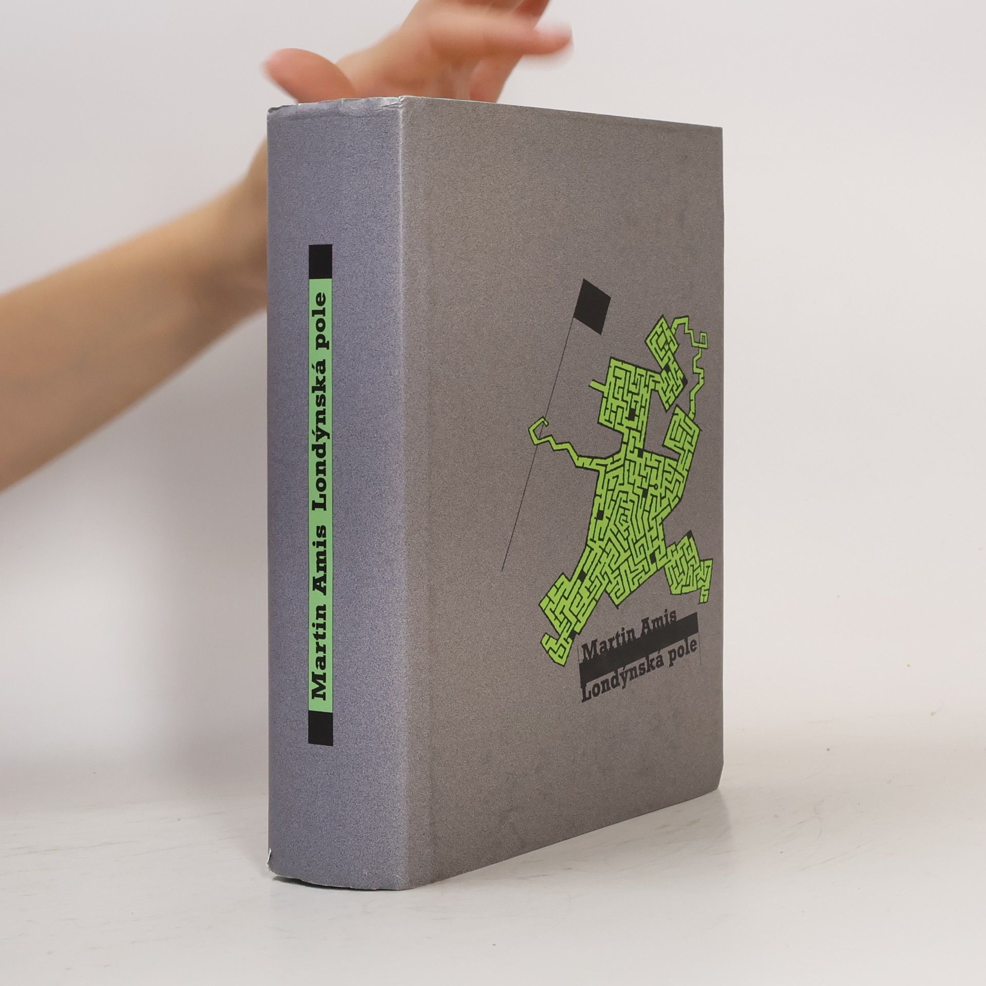 Martin Amis Londýnská pole