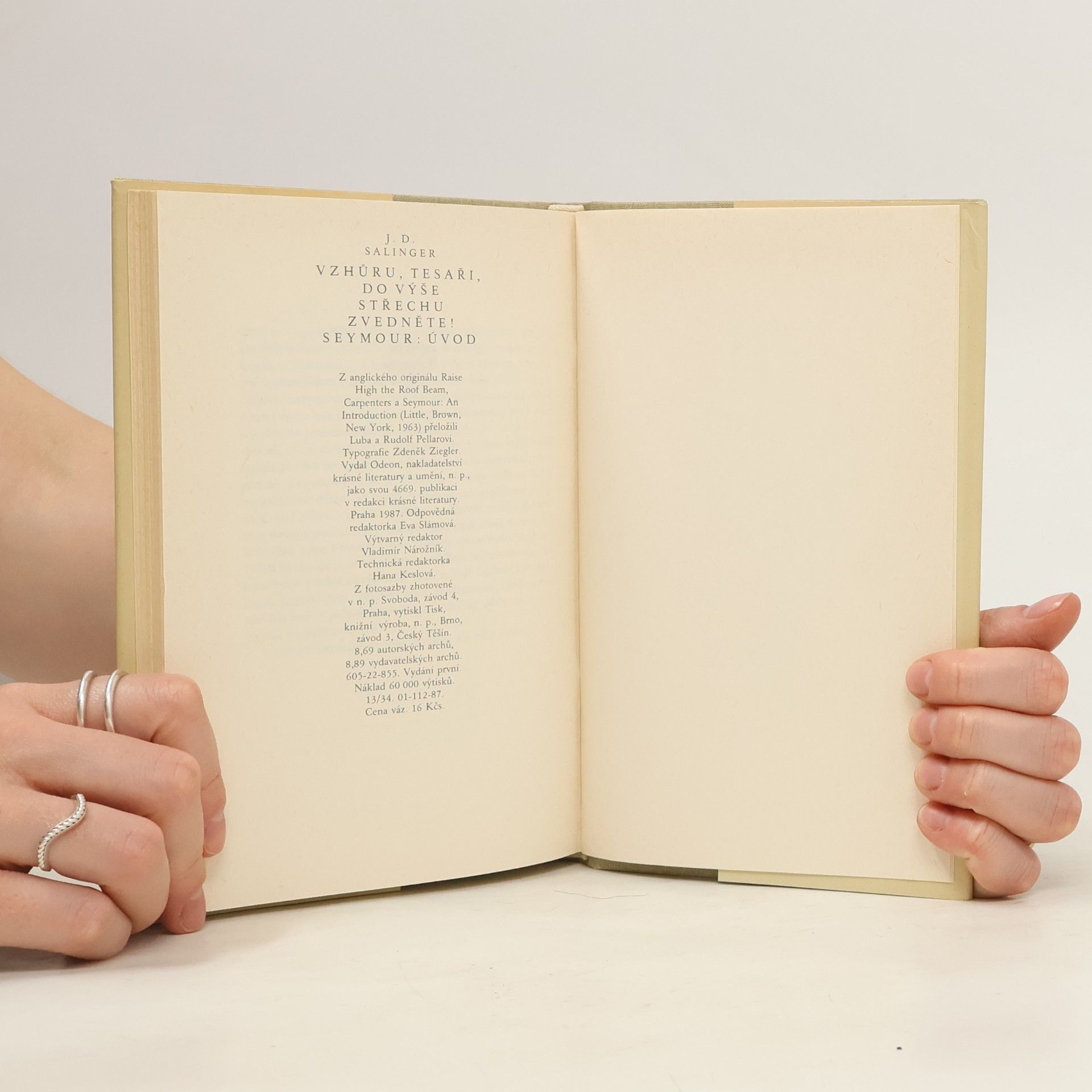 J. D. Salinger Vzhůru, tesaři, do výše střechu zvedněte! Úvod