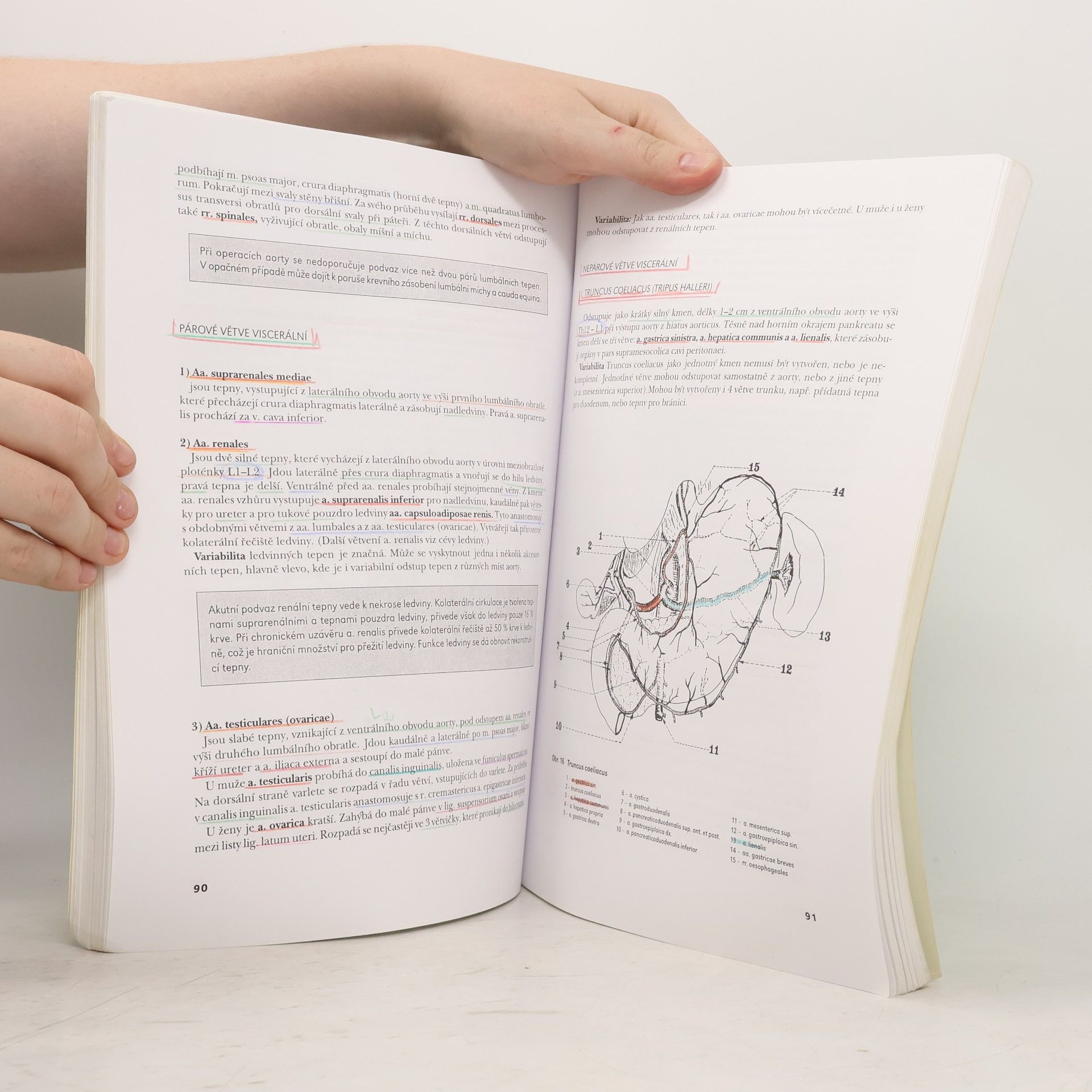 Oldřich Eliška Systematická, topografická a klinická anatomie VII. Srdce a cévní systém