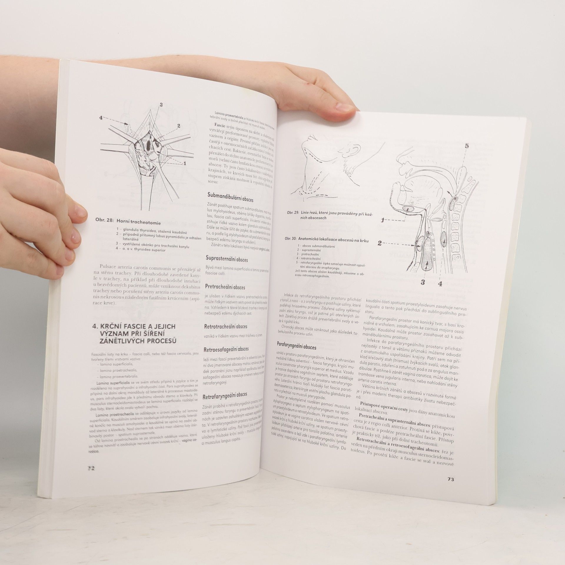 Oldřich Eliška Systematická, topografická a klinická anatomie.XI., Kůže a chirurgické přístupy