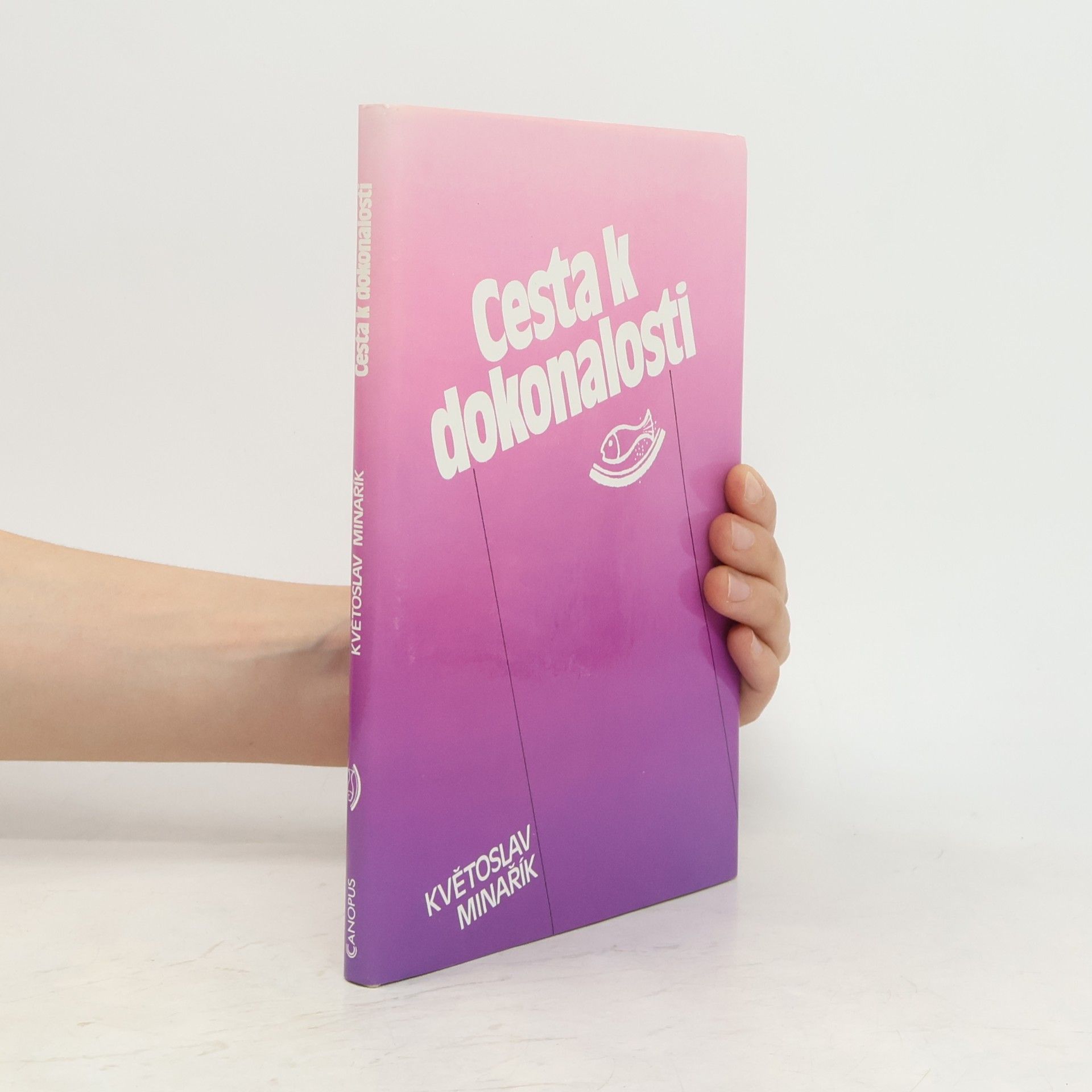 Kvetoslav Minarik Cesta k dokonalosti