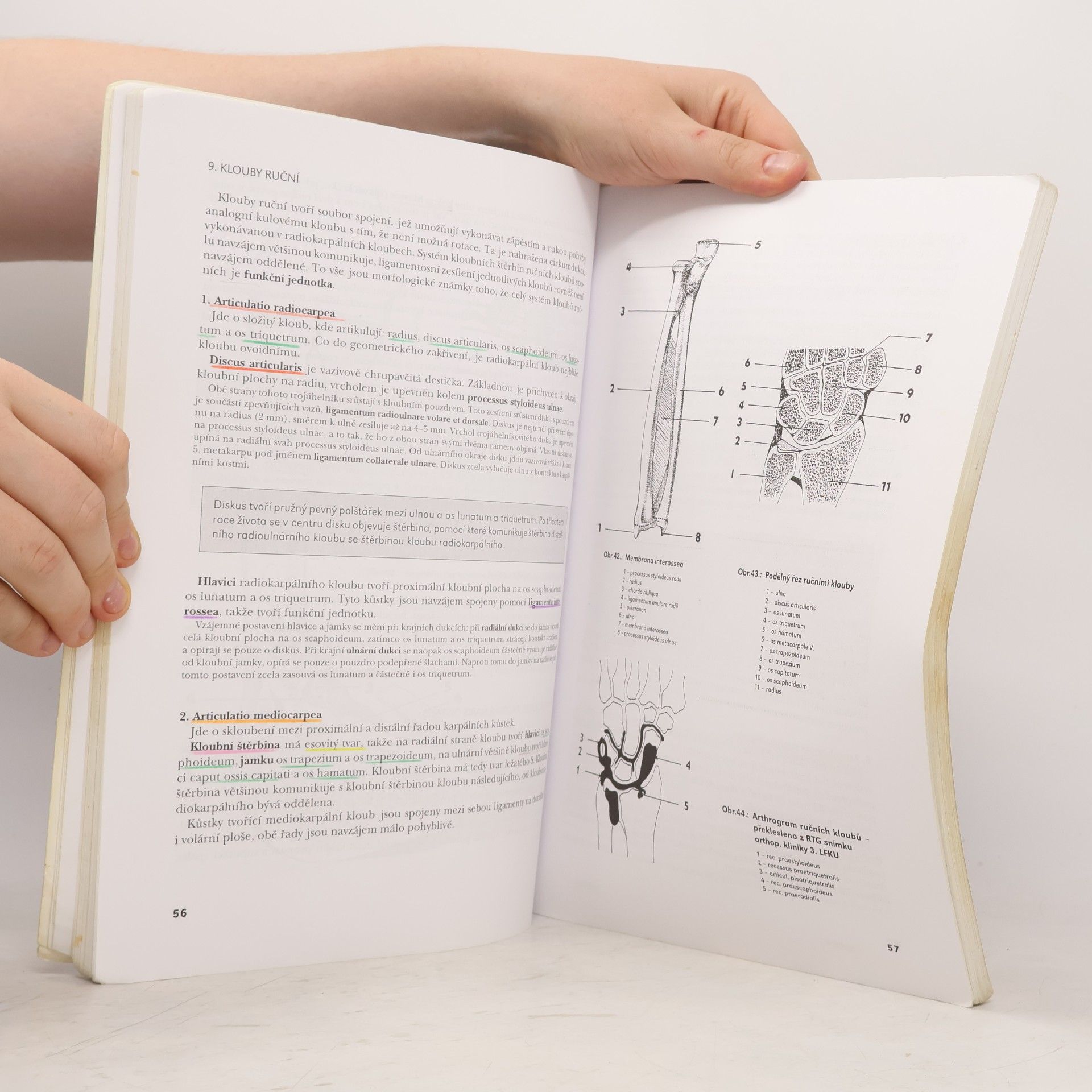 Olga Mrázková Systematická, topografická a klinická anatomie II. Pohybový aparát končetin