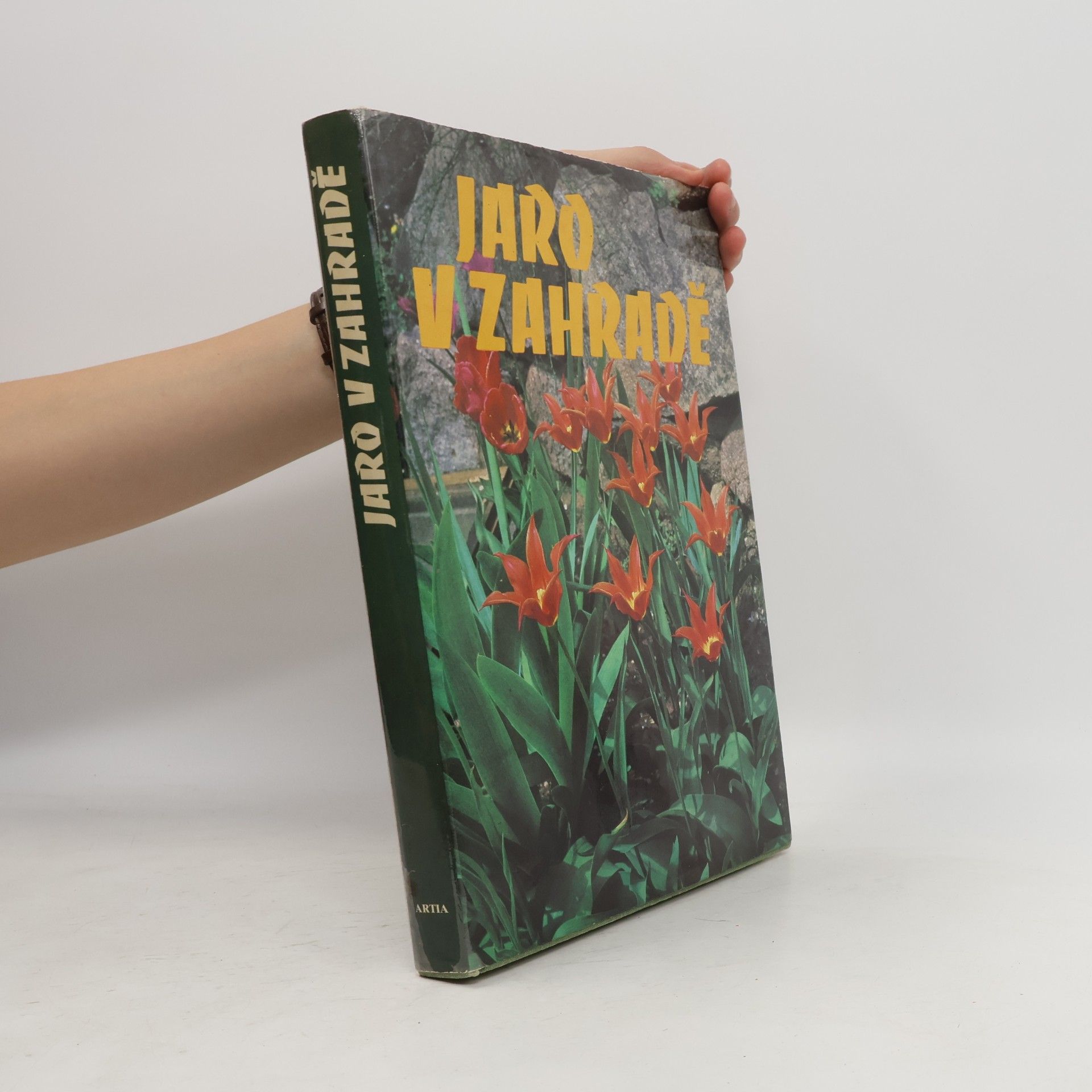 Eva Fürst Jaro v zahradě