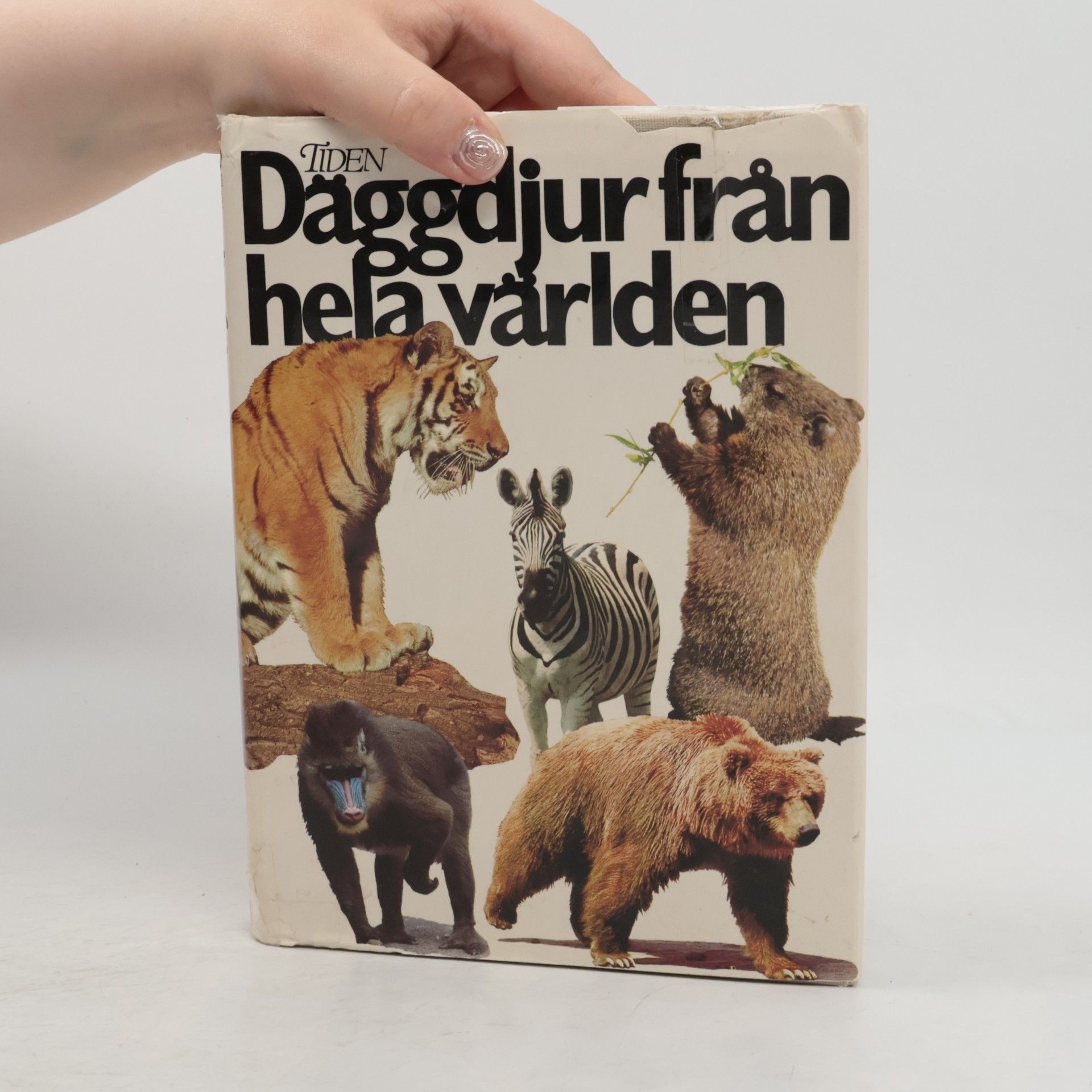 Vratislav Mazák Däggdjur från hela världen