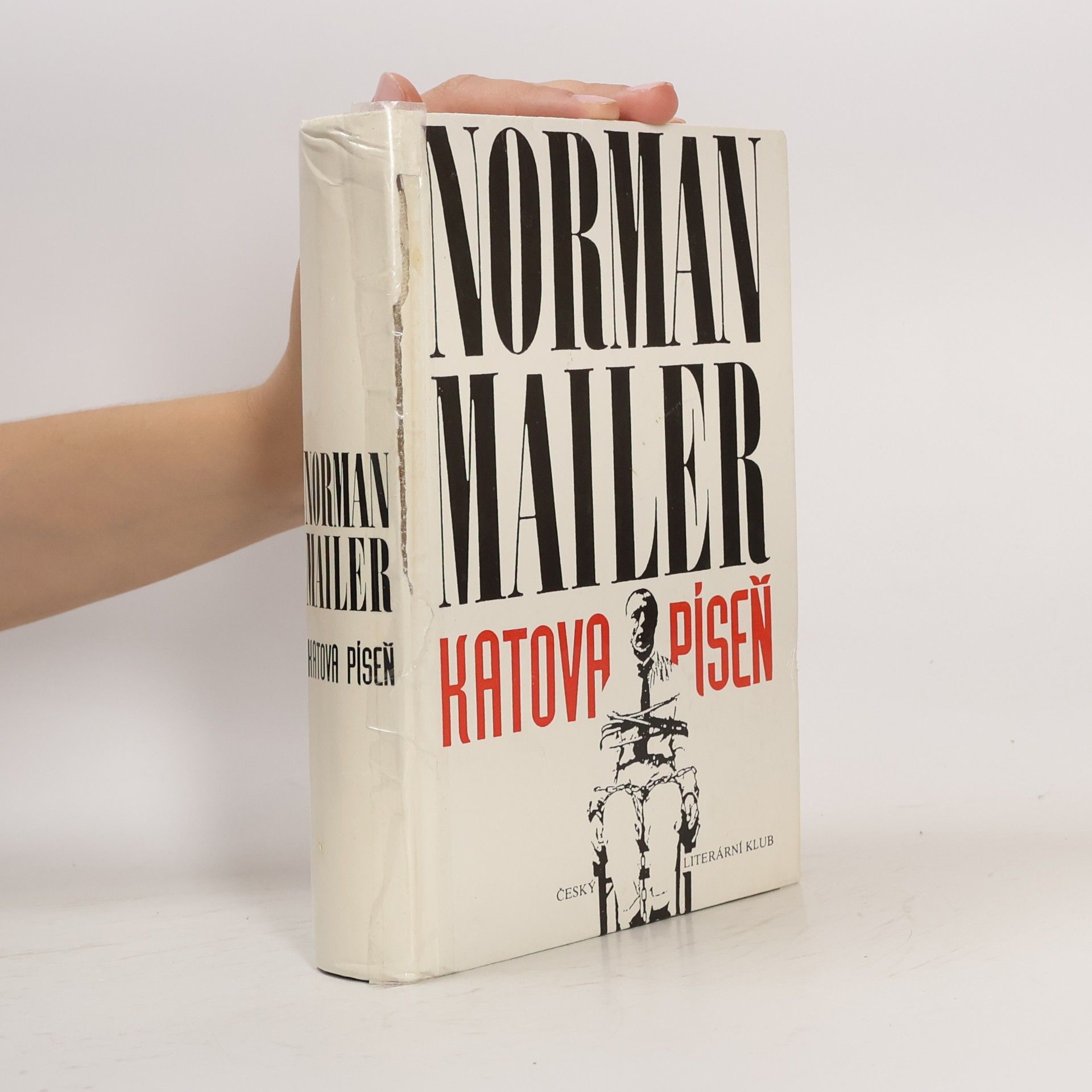 Norman Mailer Katova píseň