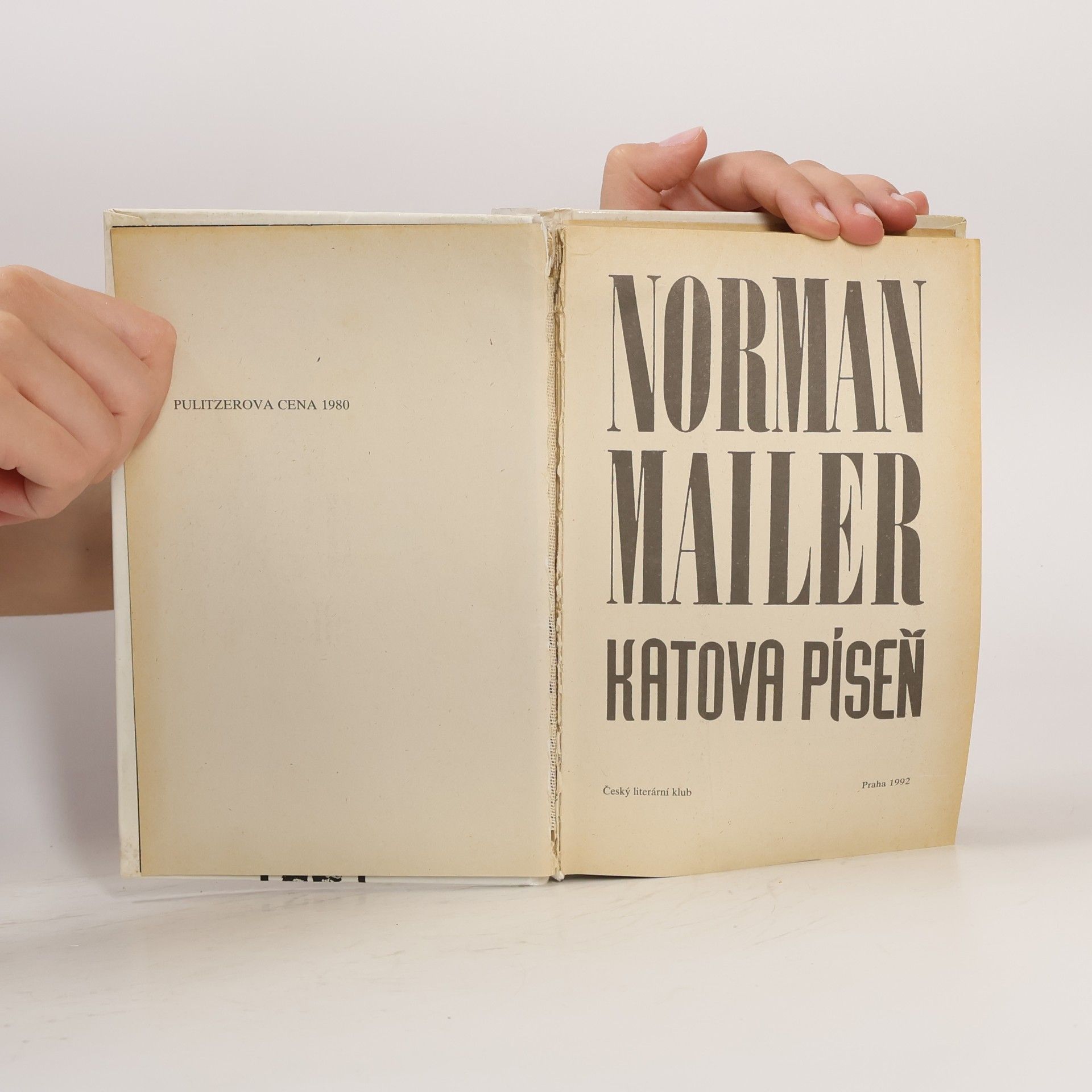 Norman Mailer Katova píseň