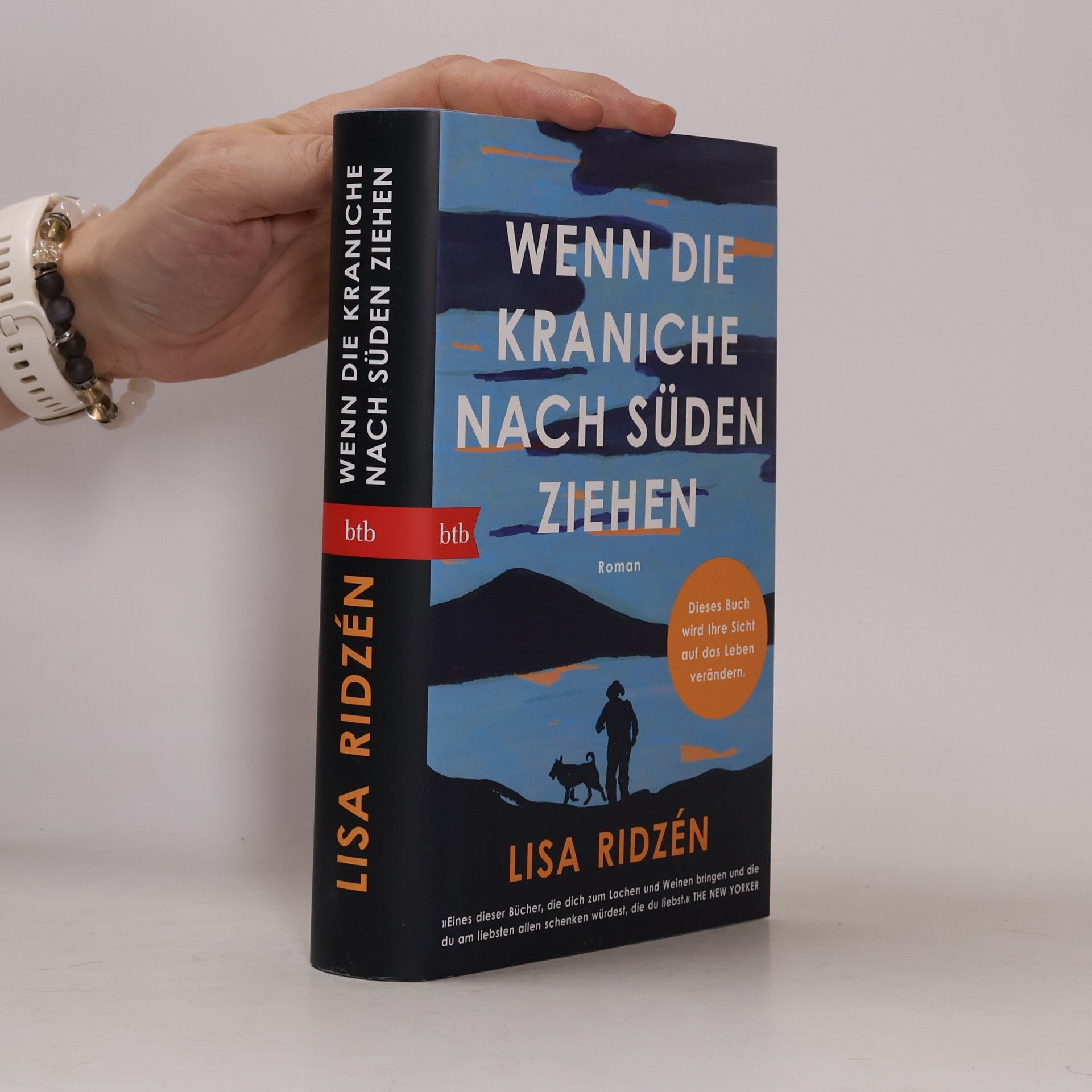 Lisa Ridzén Wenn die Kraniche nach Süden ziehen