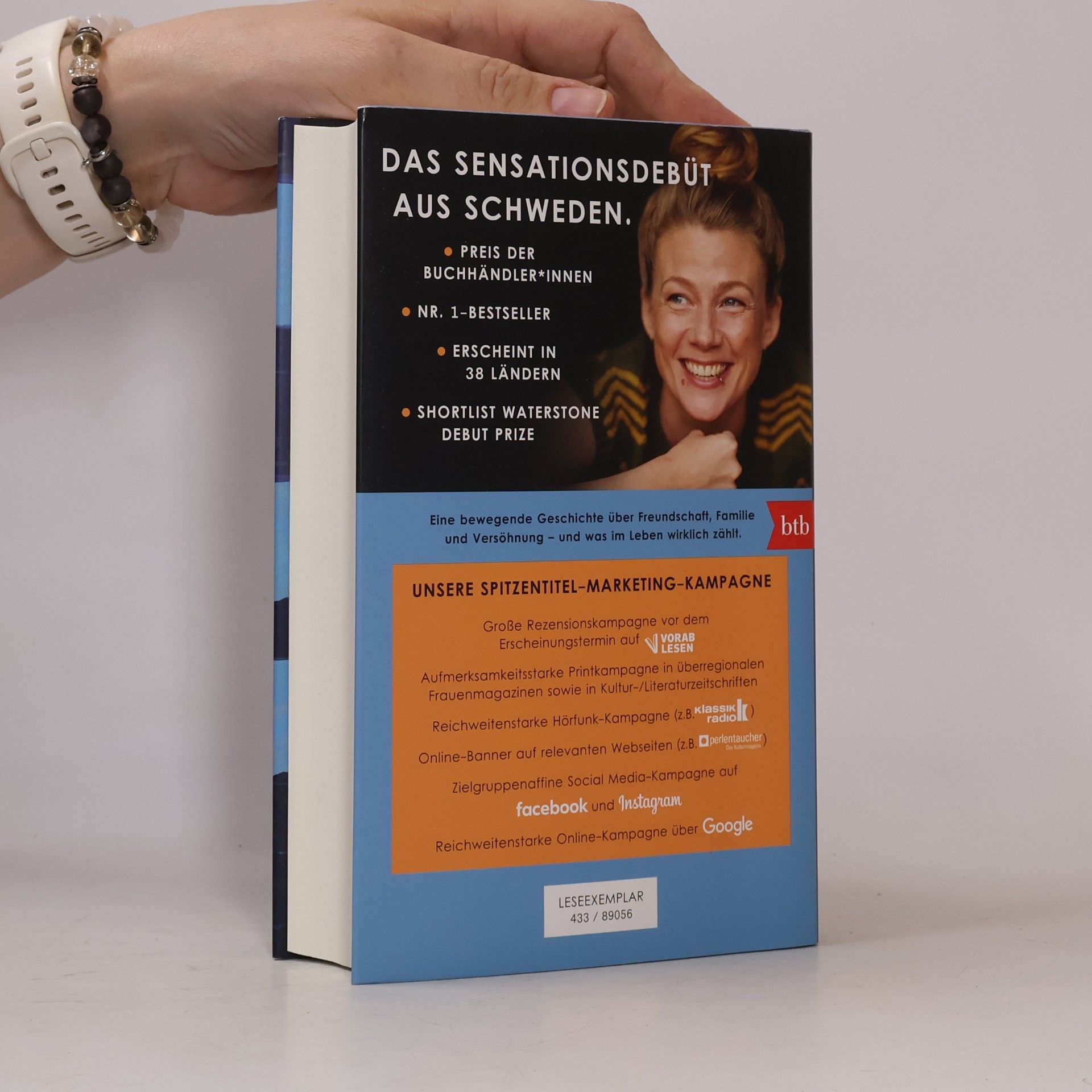 Lisa Ridzén Wenn die Kraniche nach Süden ziehen