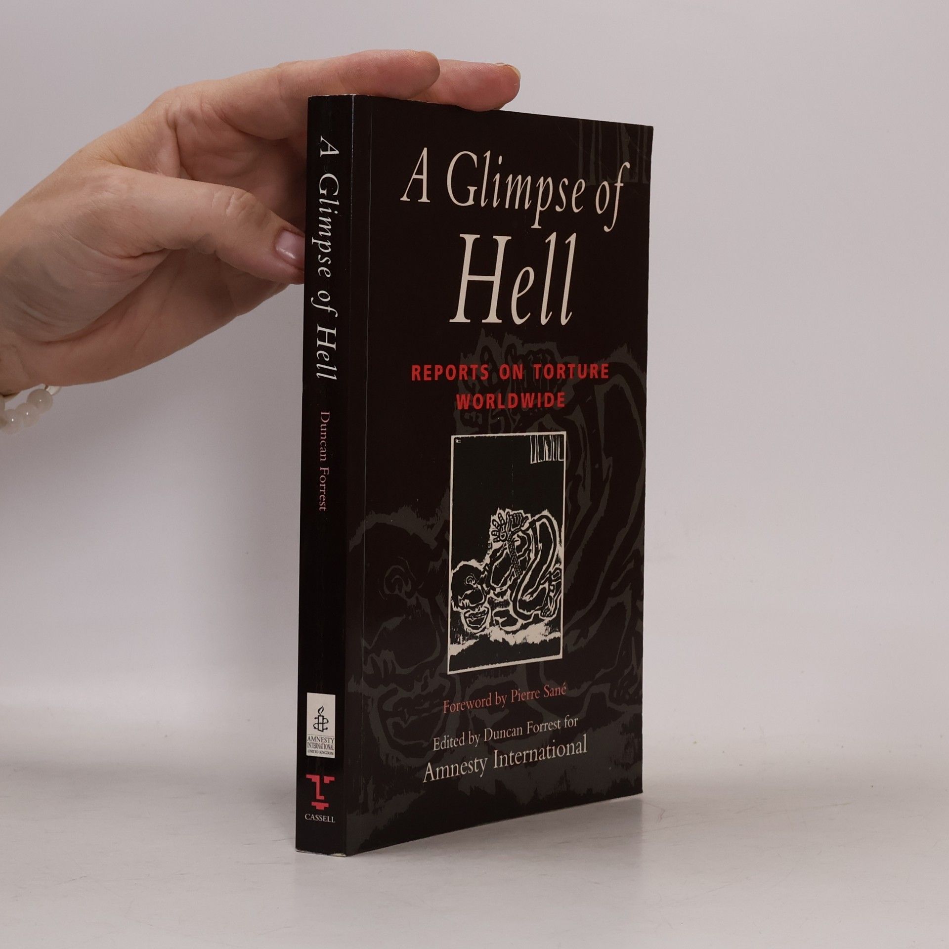 Pierre Sané A Glimpse of Hell