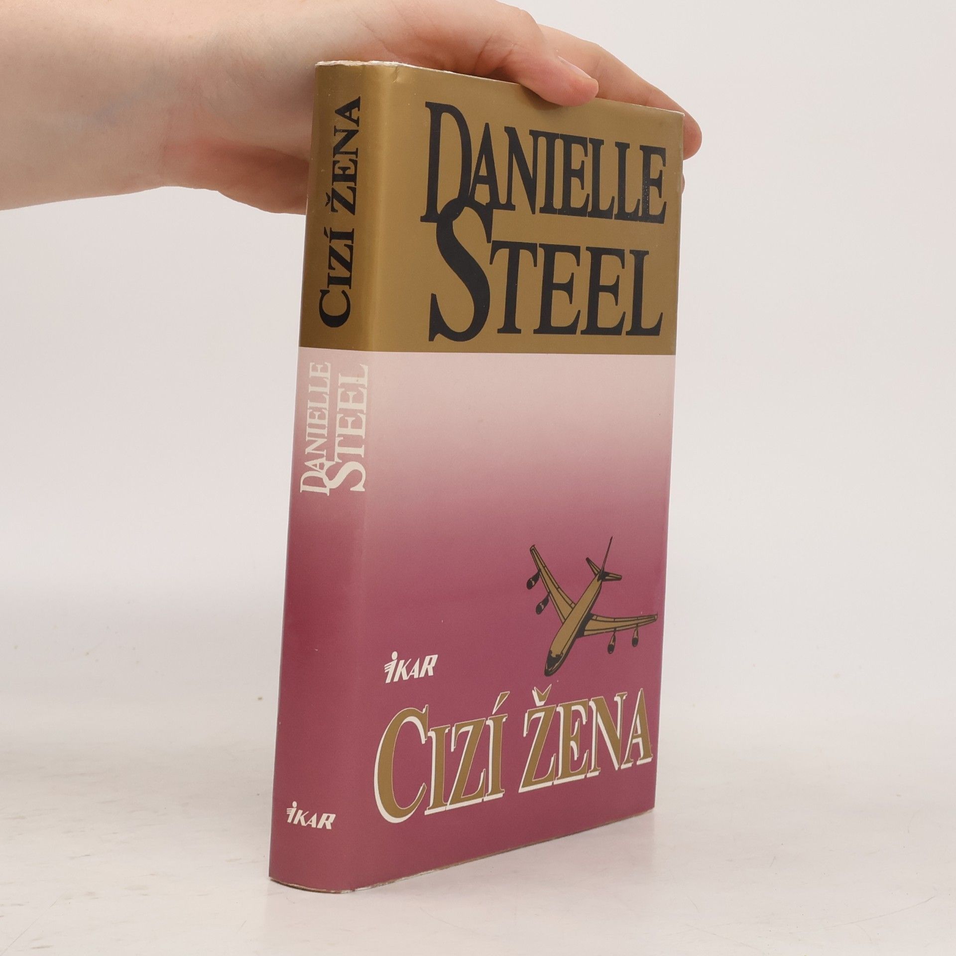 Danielle Steel Cizí žena