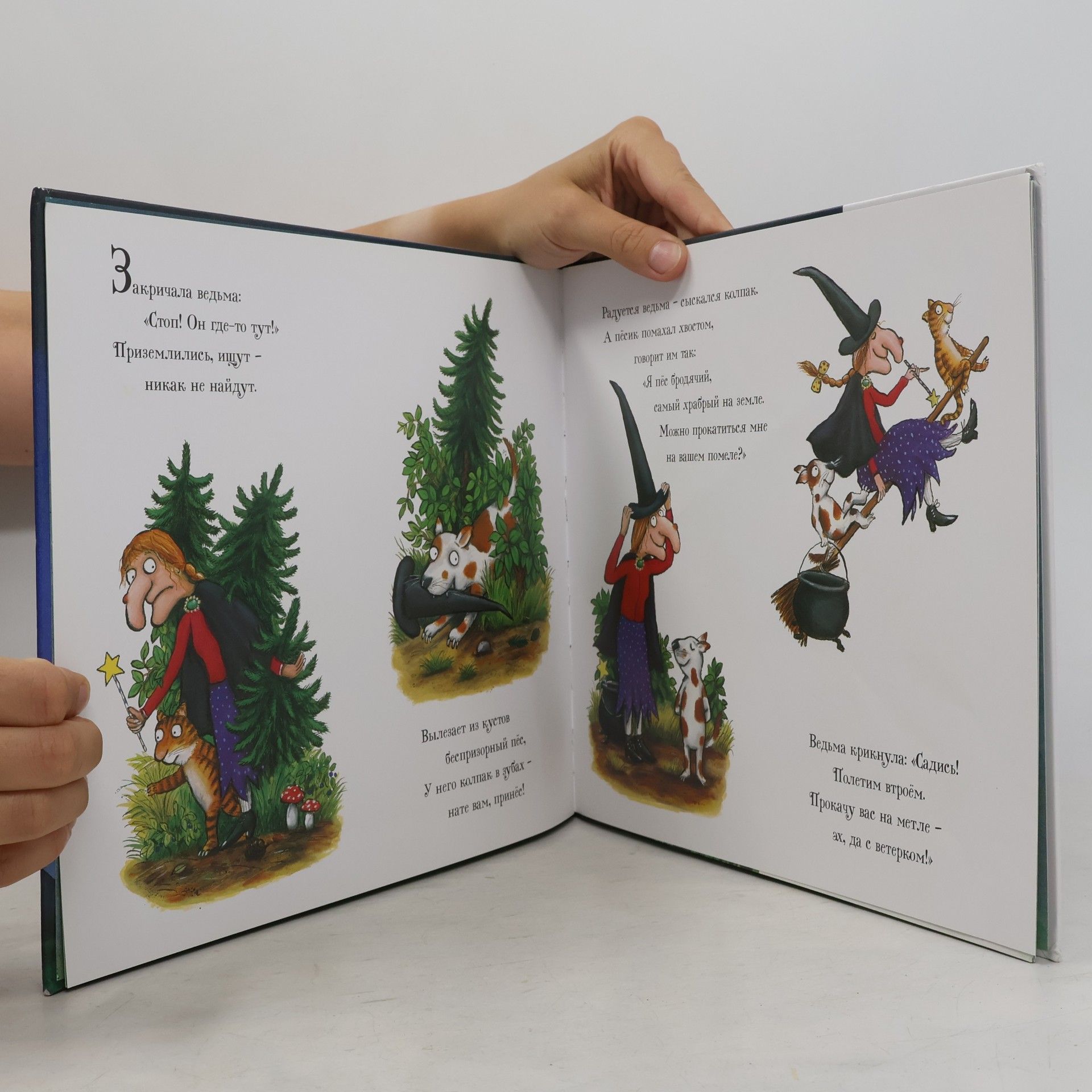 Julia Donaldson Verkhom na pomele