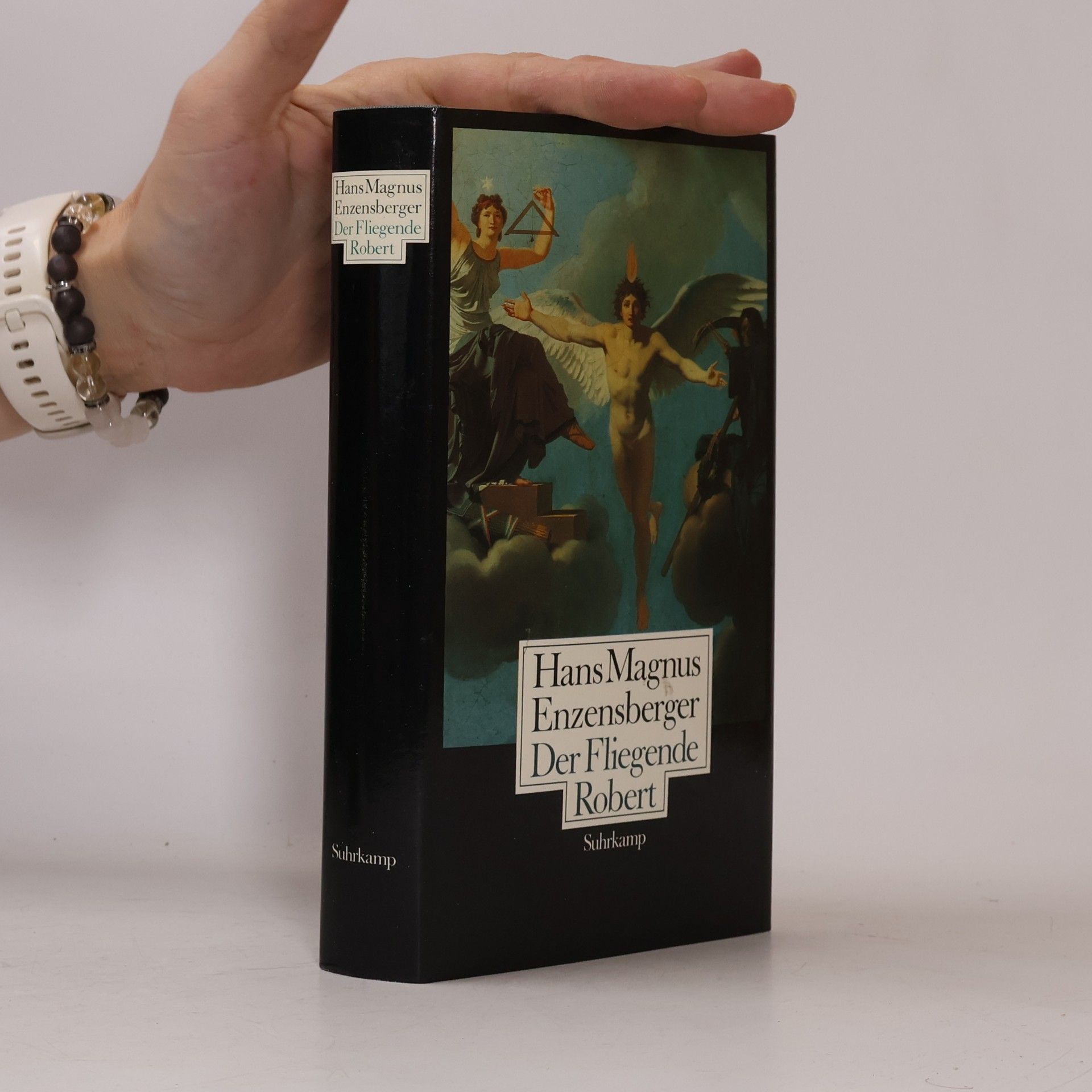 Hans Magnus Enzensberger Der Fliegende Robert