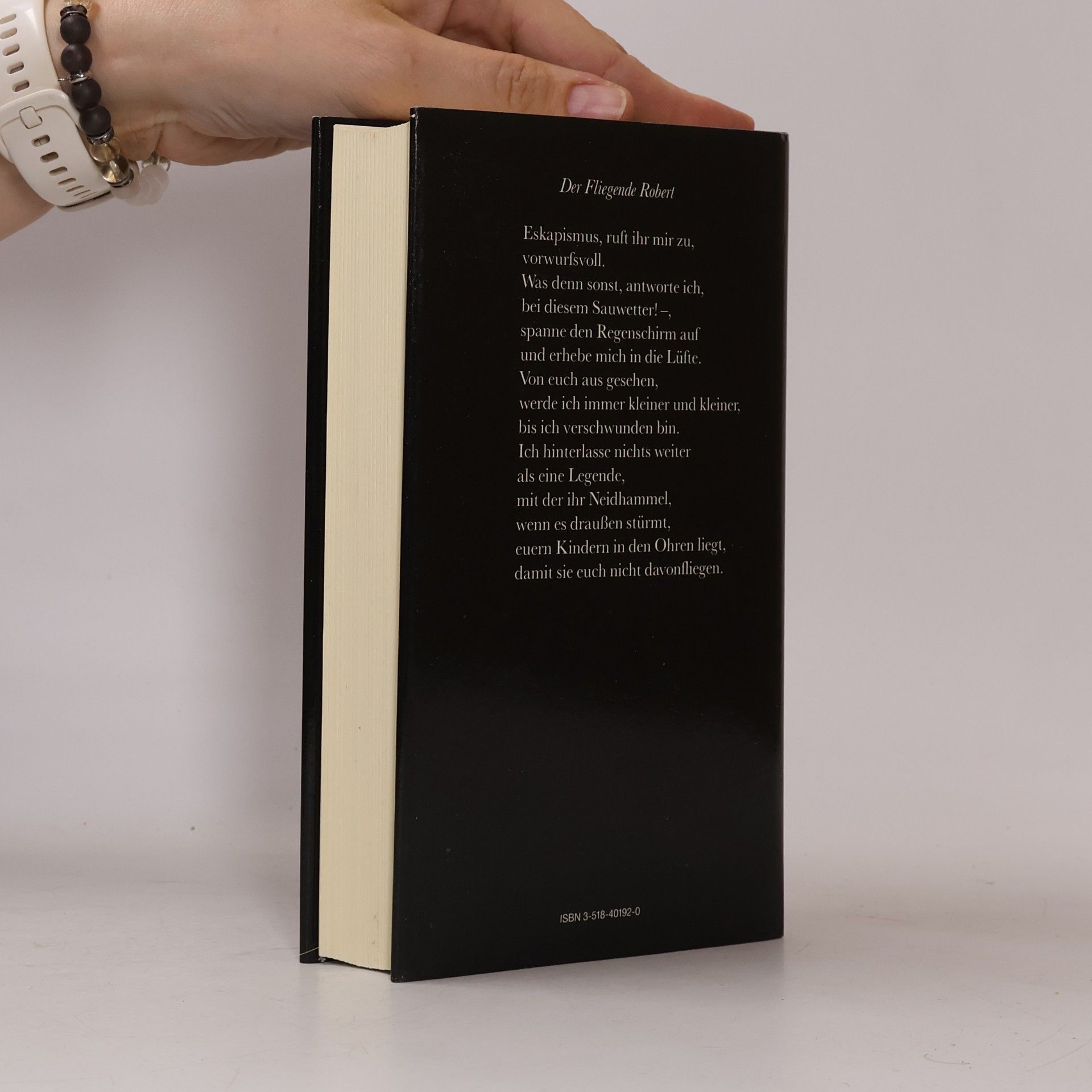 Hans Magnus Enzensberger Der Fliegende Robert