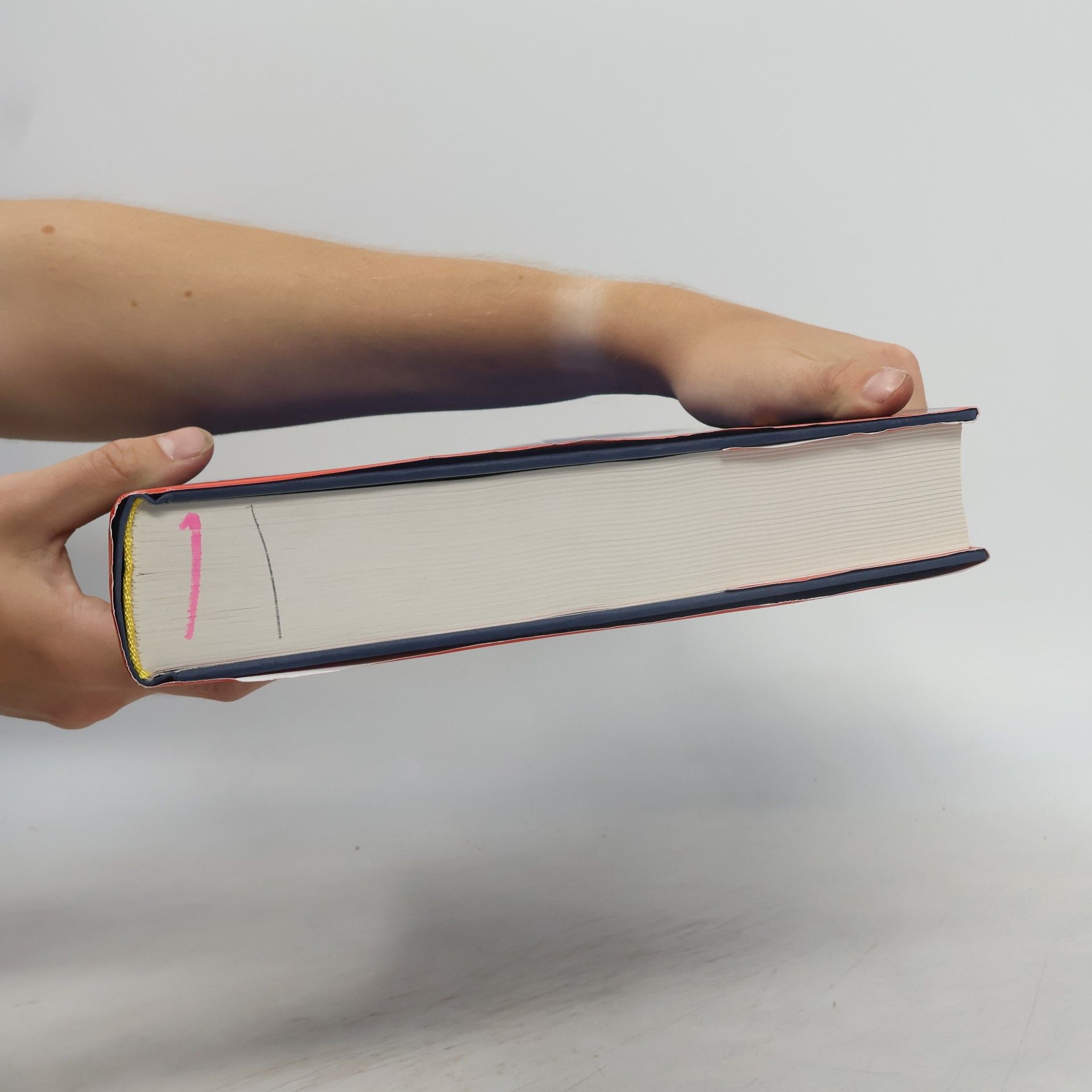 Autores varios Chronik des 20. Jahrhunderts