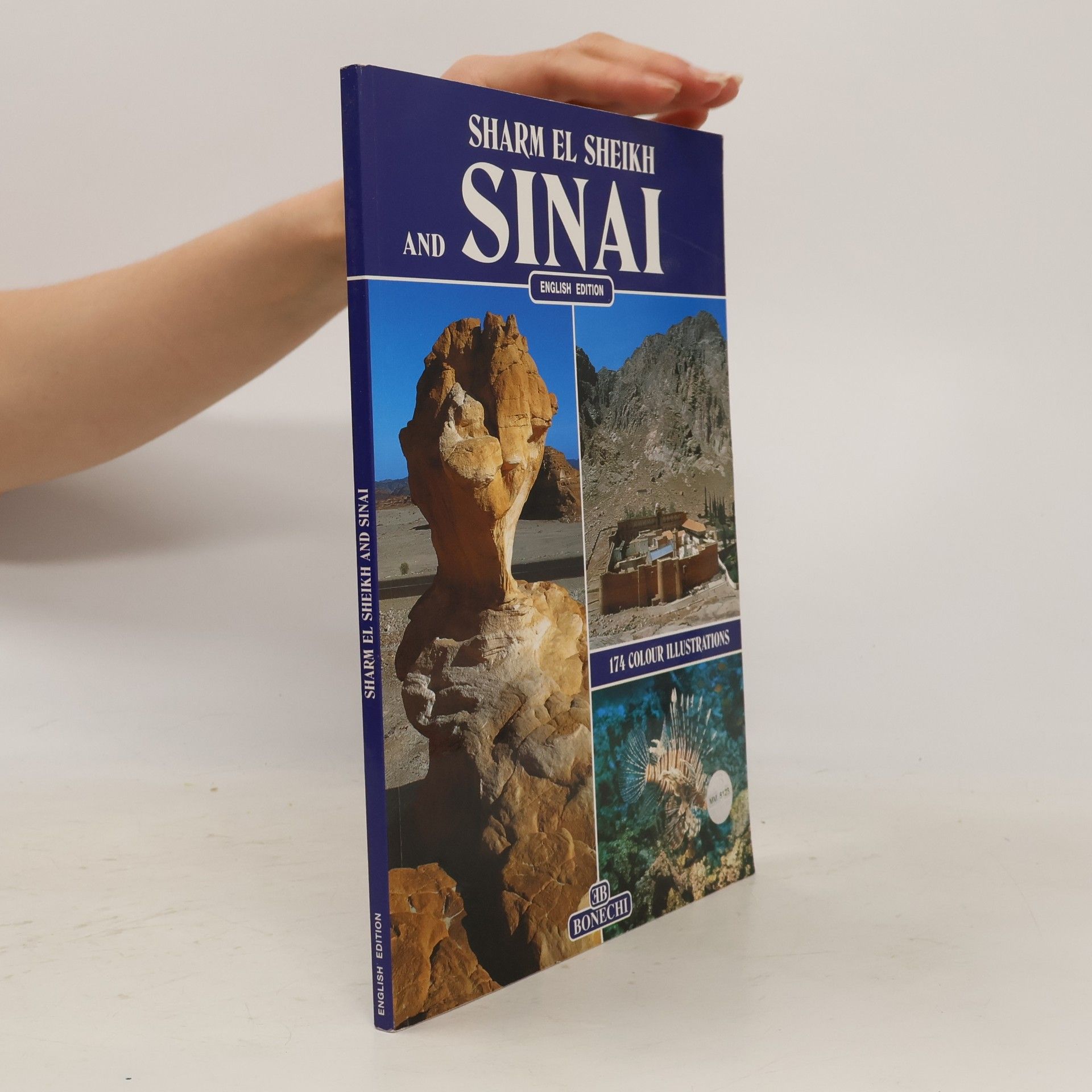Giovanna Magi The Peninsula of Sinai
