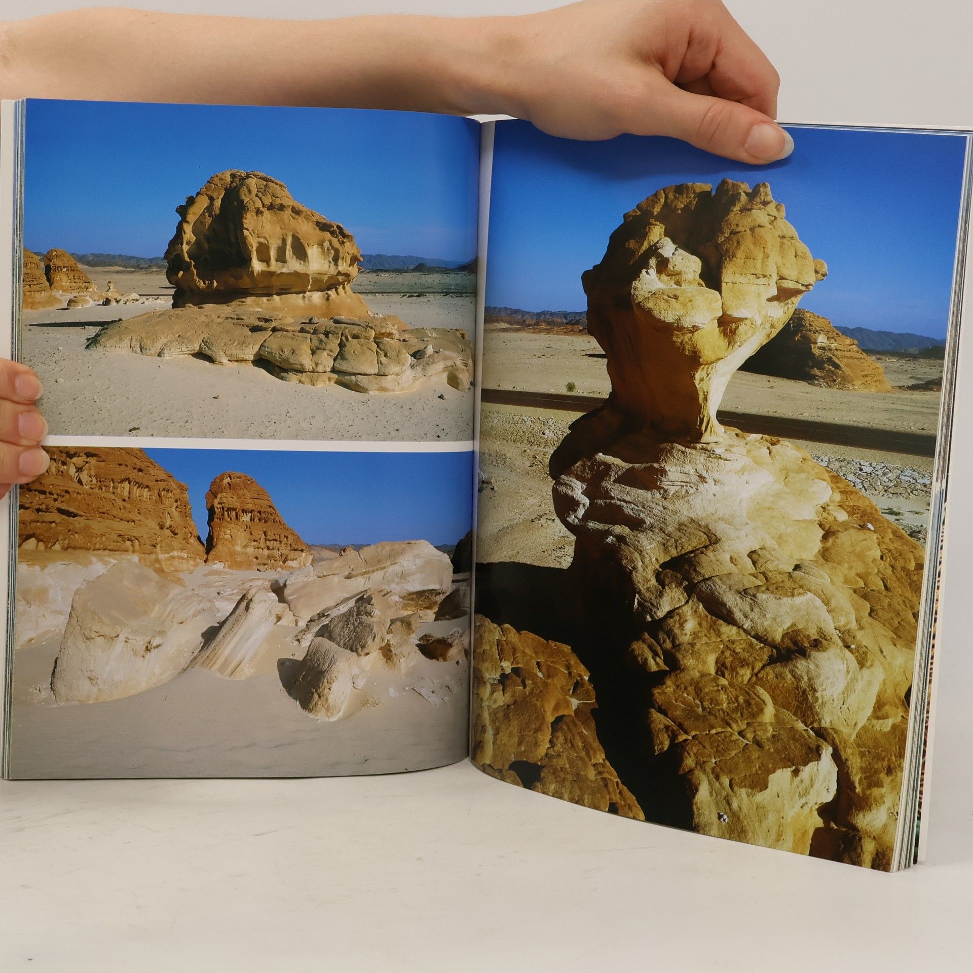 Giovanna Magi The Peninsula of Sinai