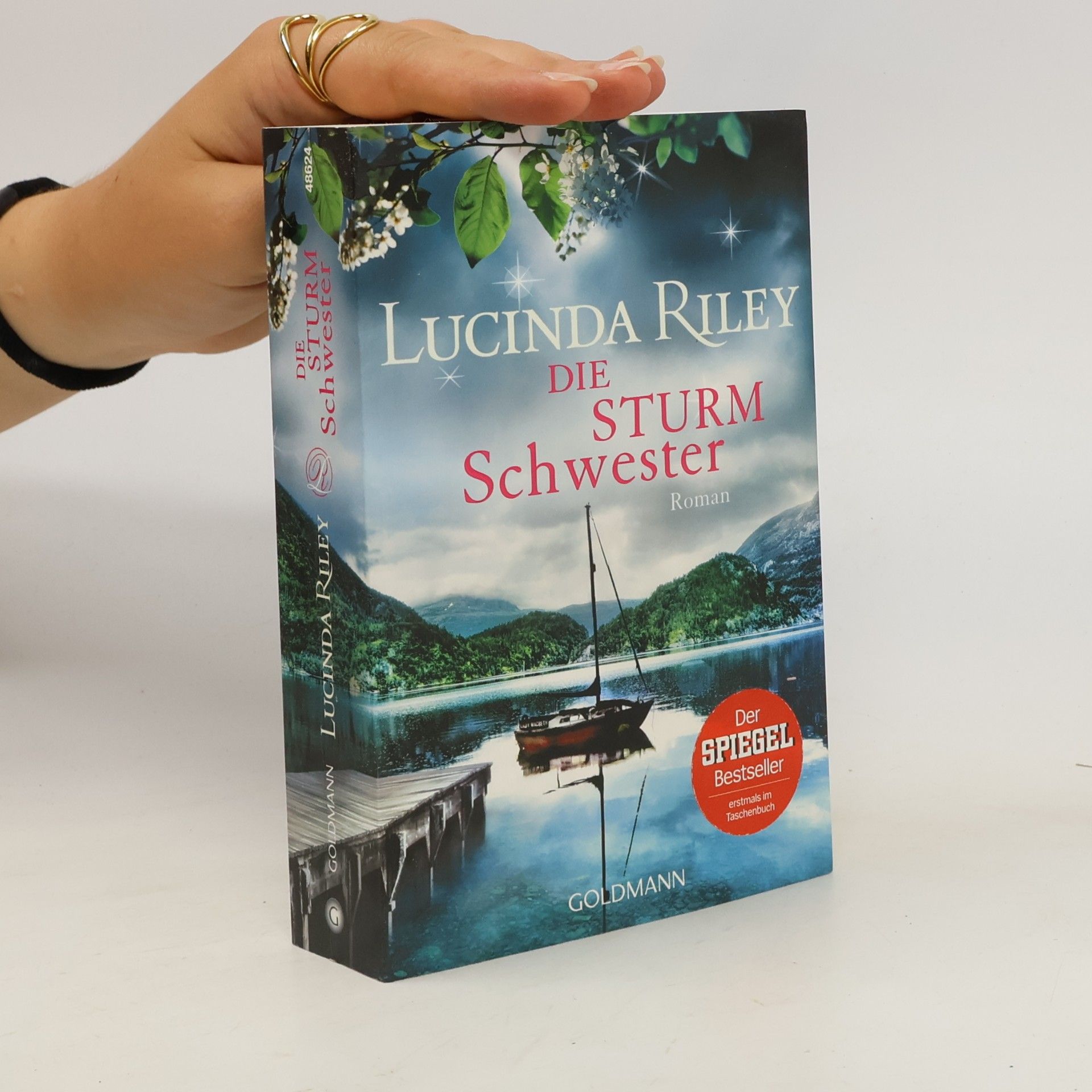 Lucinda Riley Die Sturmschwester