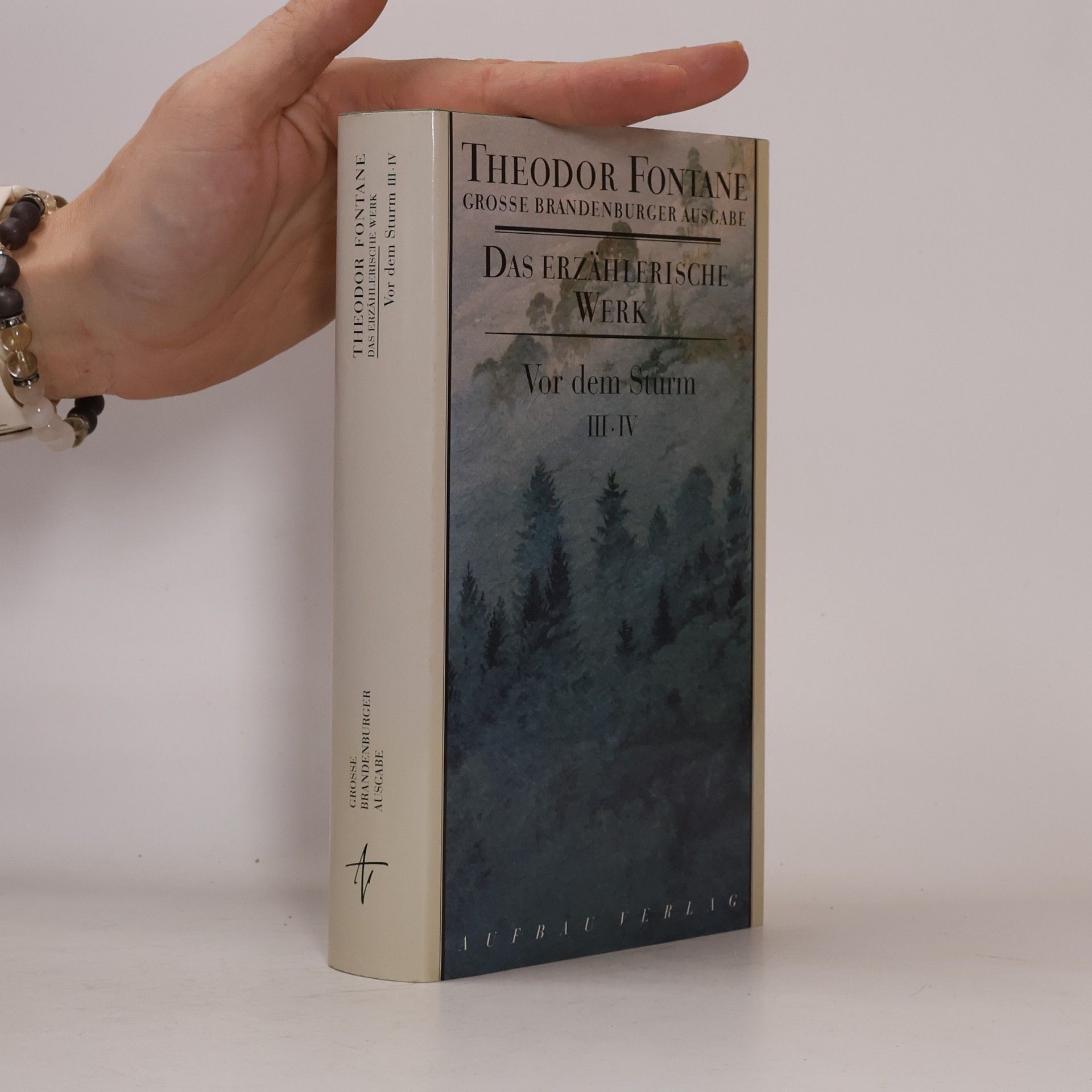 Theodor Fontane Große Brandenburger Ausgabe. Vor dem Sturm 1/2