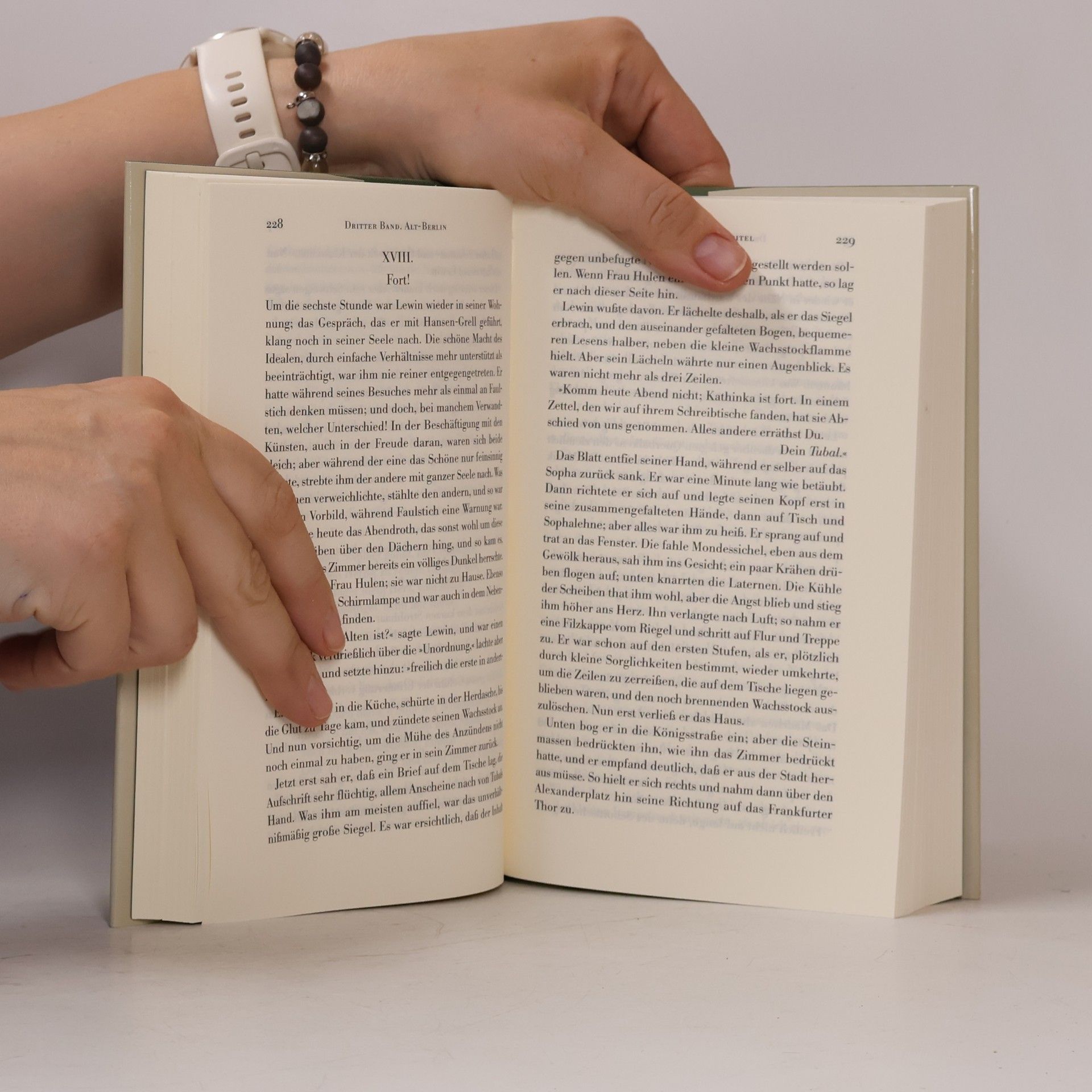 Theodor Fontane Große Brandenburger Ausgabe. Vor dem Sturm 1/2