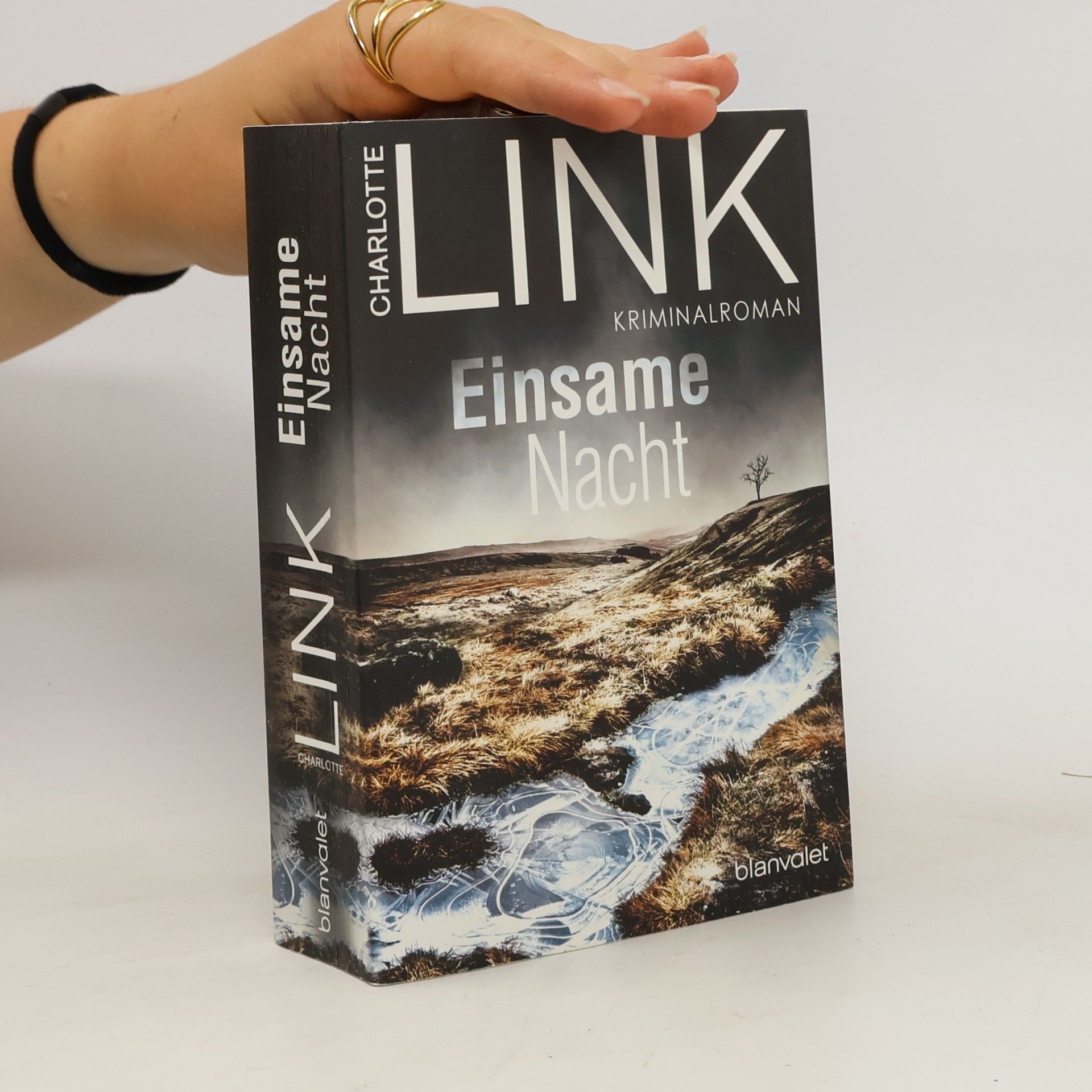Charlotte Link Einsame Nacht