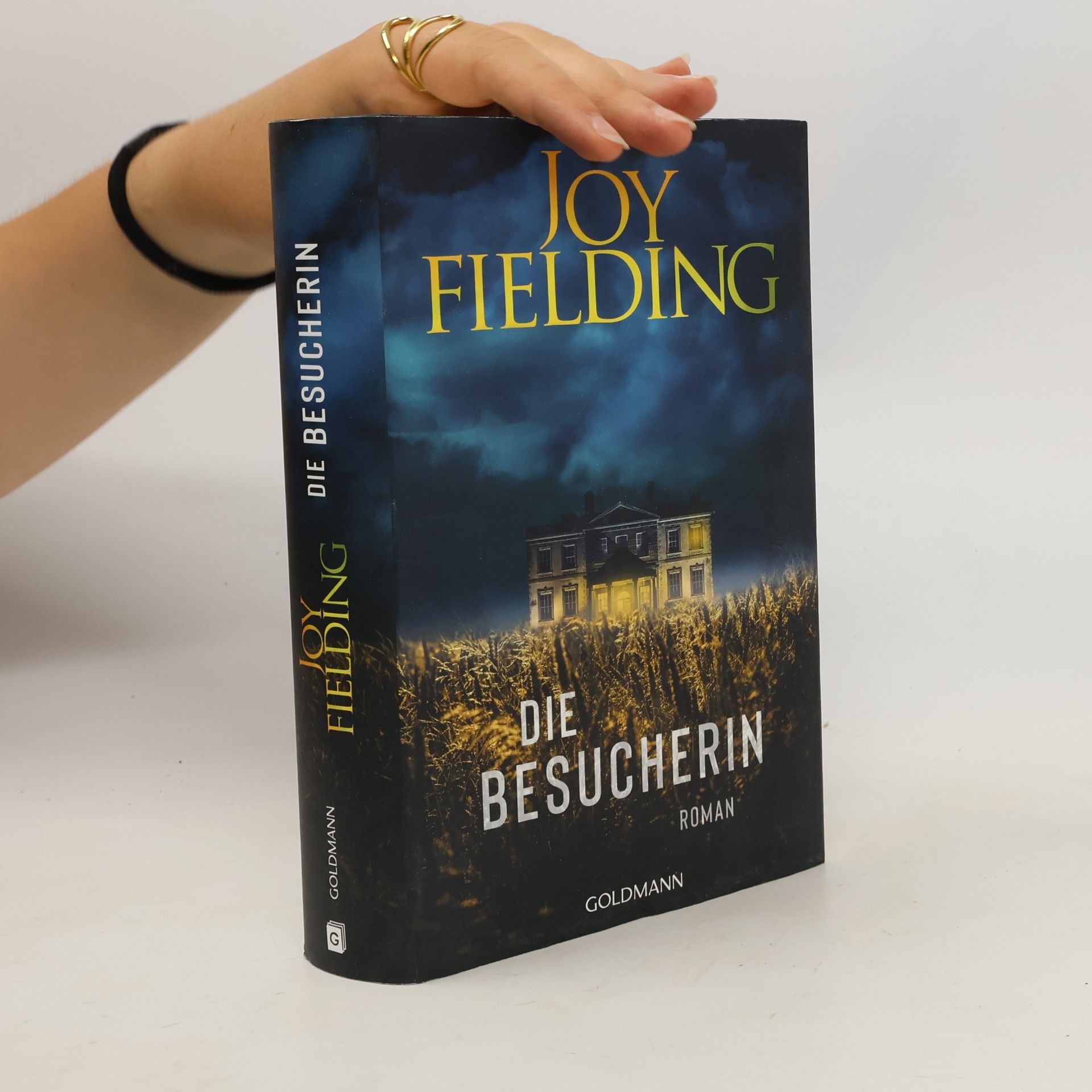 Joy Fielding Die Besucherin