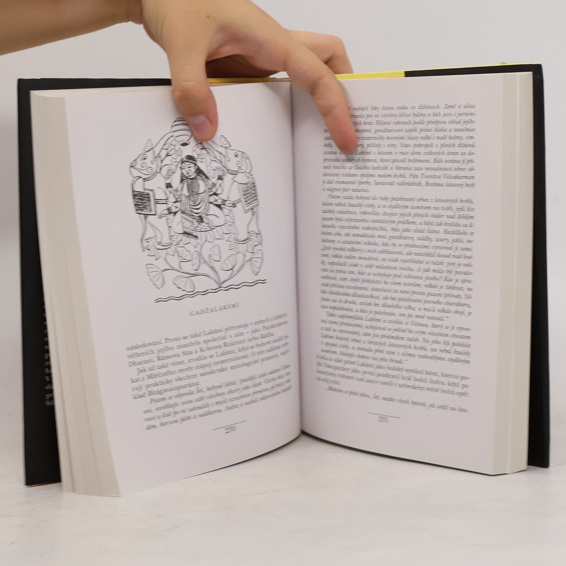 Dušan Zbavitel Bohové s lotosovýma očima: Hinduistické mýty v indické literatuře tří tisíciletí