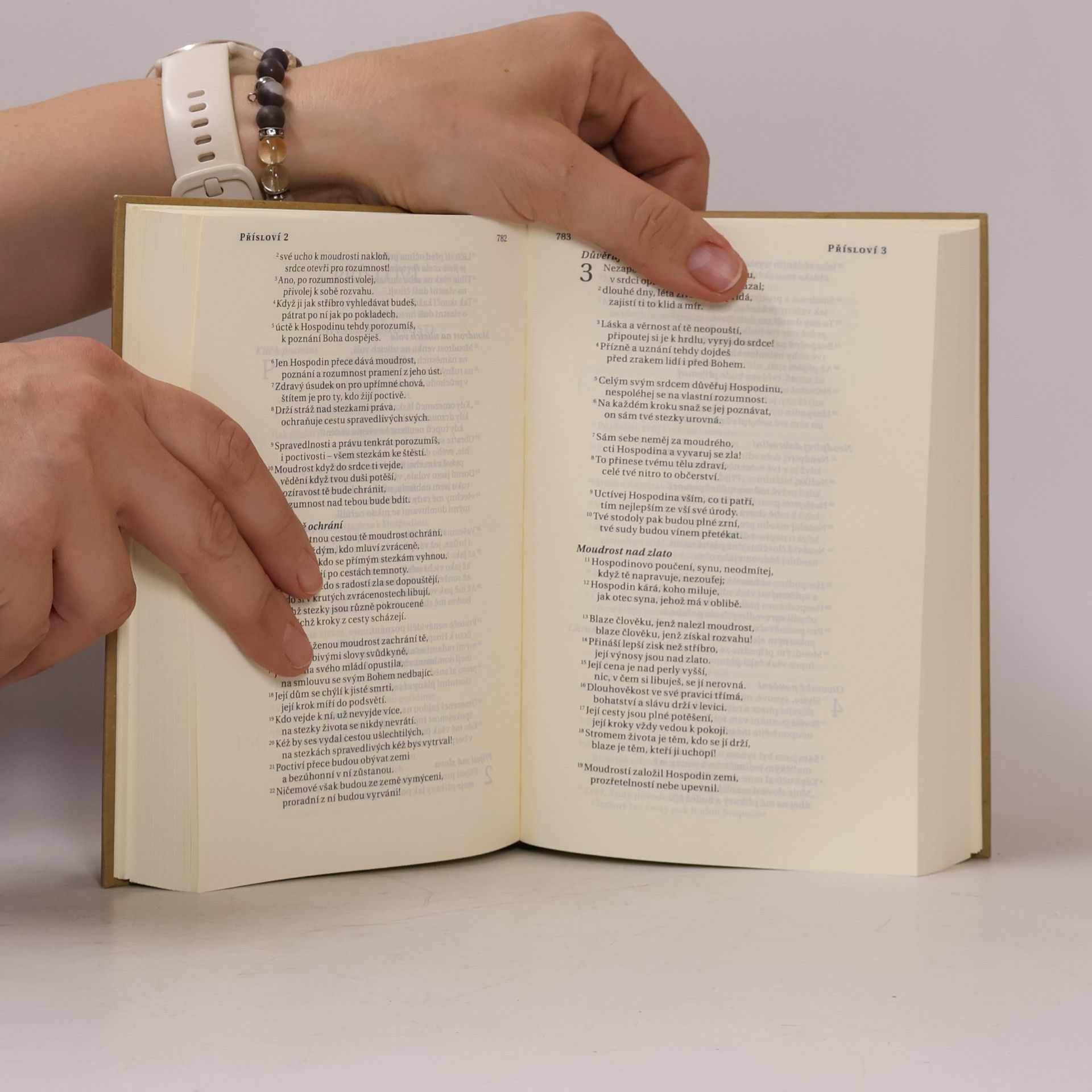 Alexandr Flek Bible. Překlad 21. století