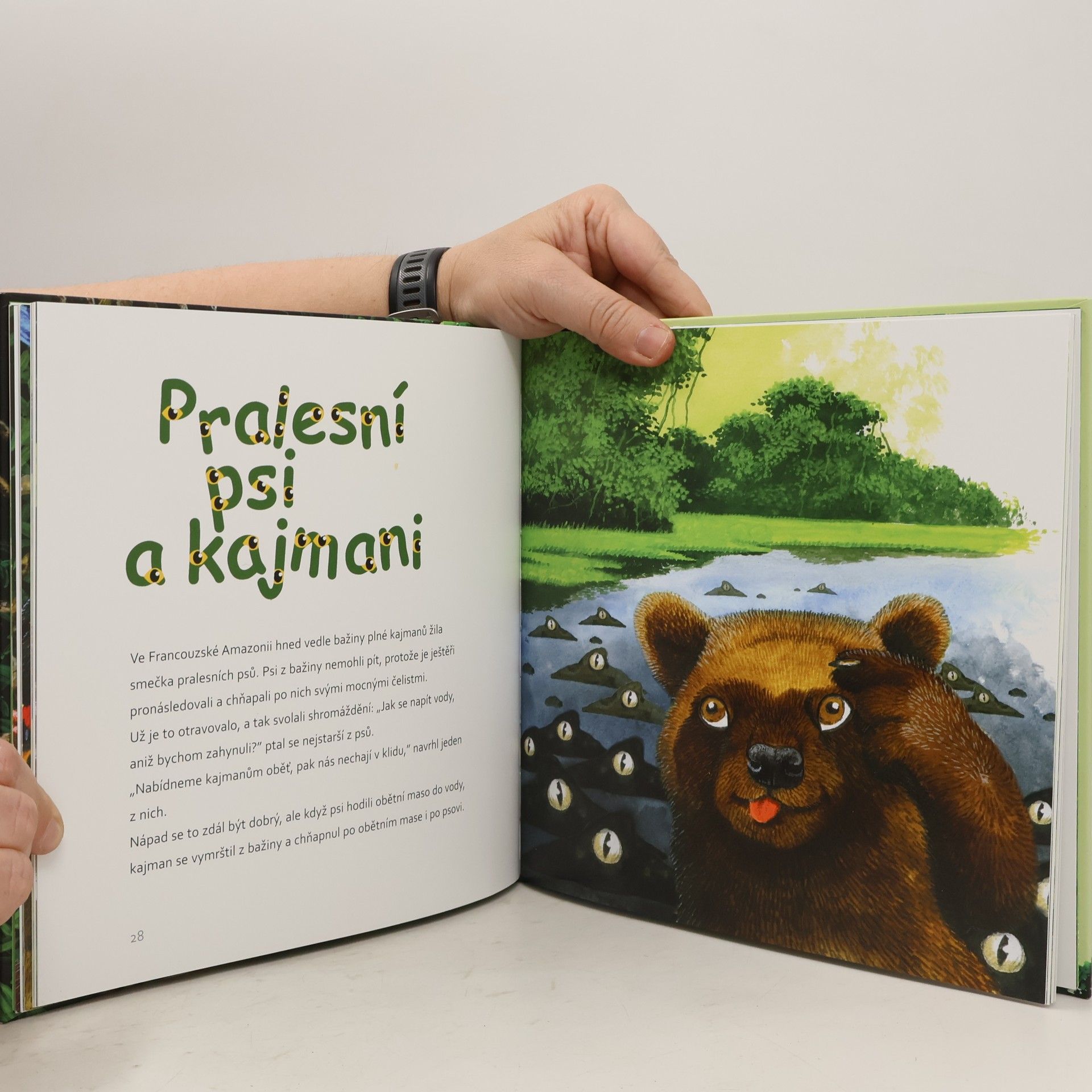 Patrick Agot Příběhy z amazonského pralesa