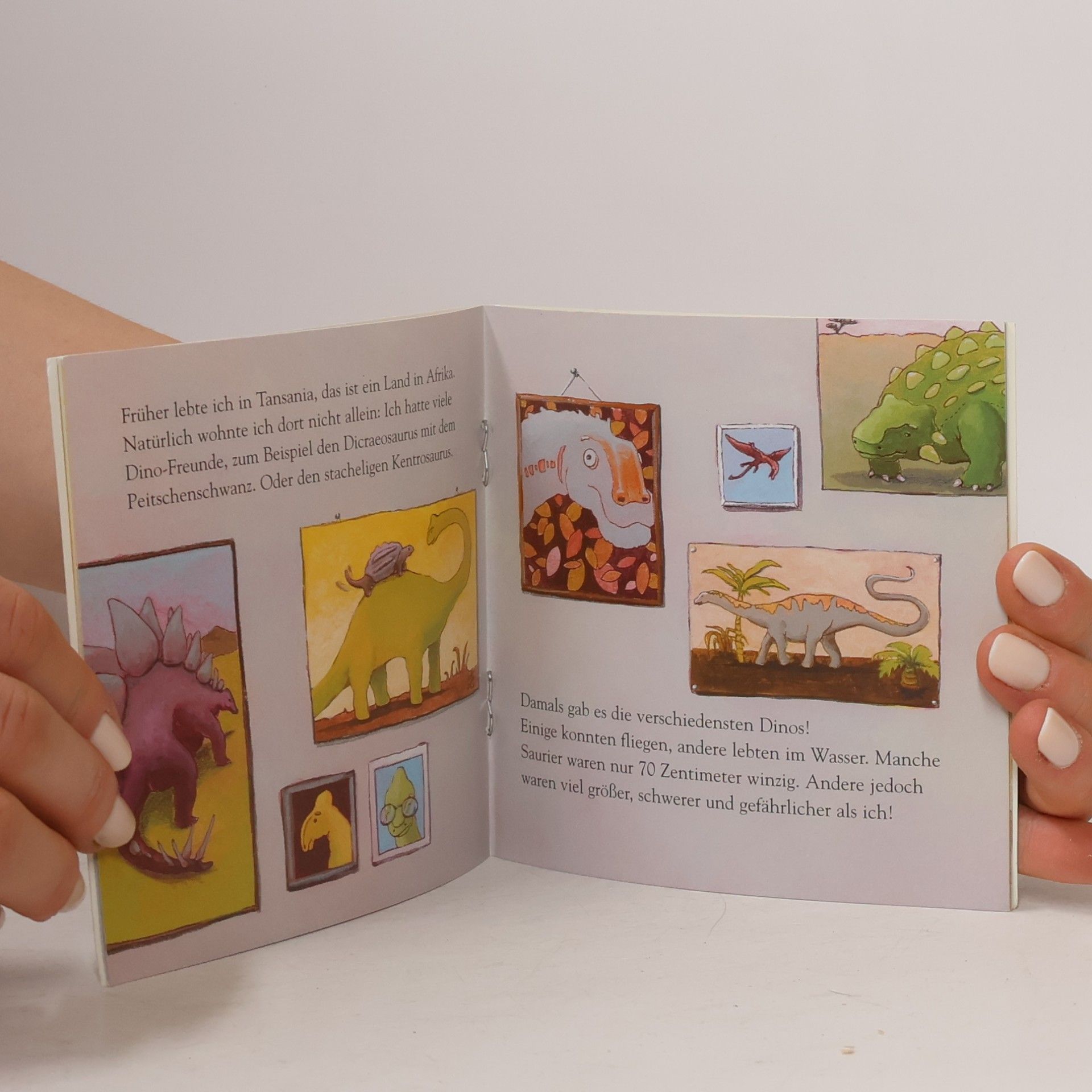 Barbara Rose Linos große Dino-Box, Nr.76.