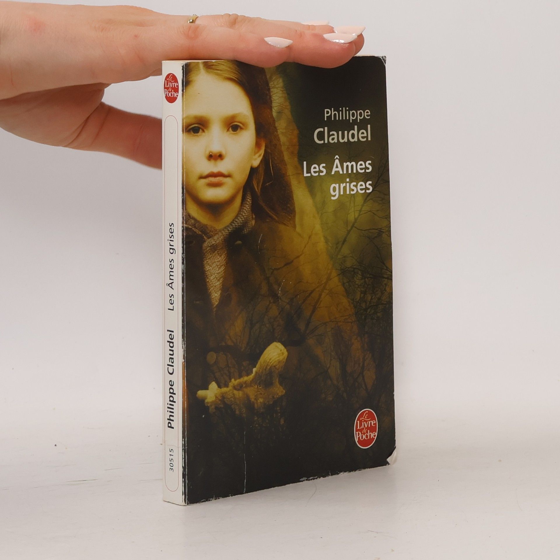 Philippe Claudel Les âmes grises