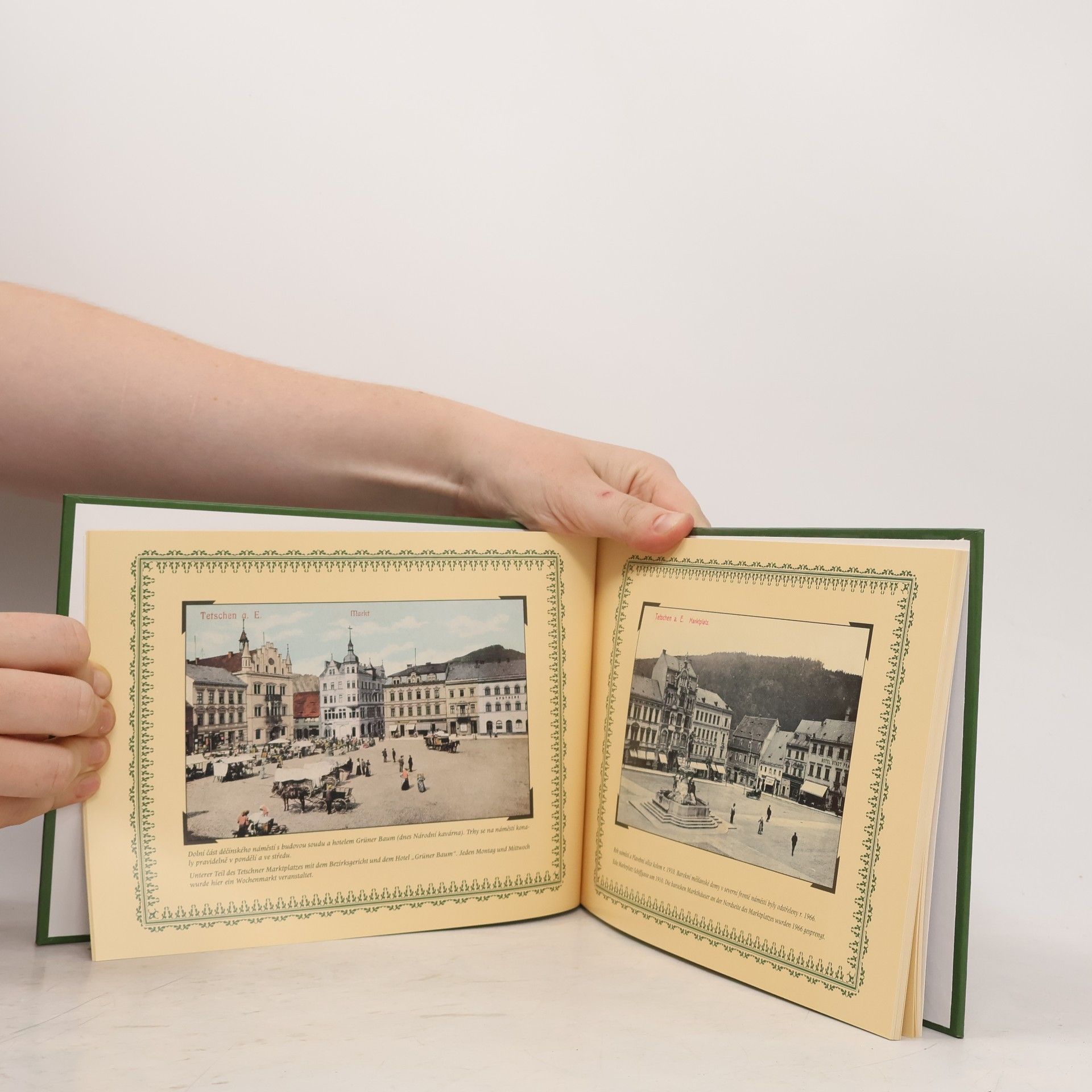Petr Joza Pohled do historie. Děčín - Podmokly a okolí