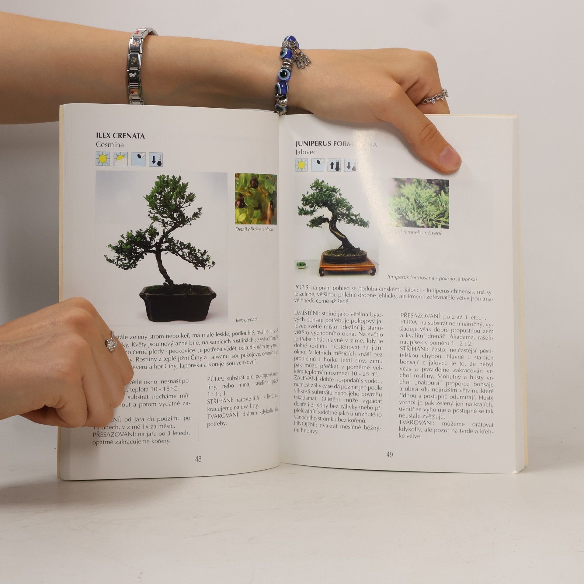Jaroslav Pišl Bonsai nejen v paneláku