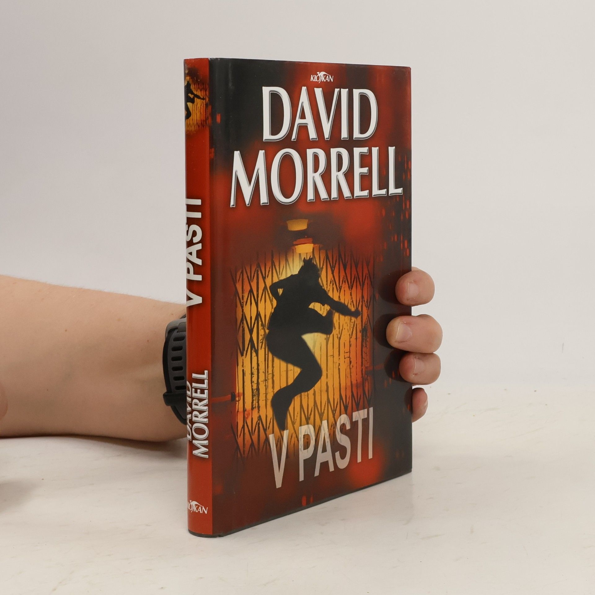 V pasti