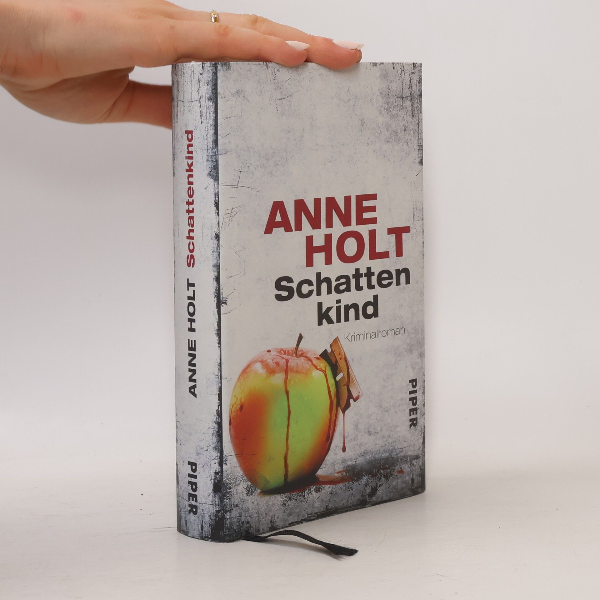 Anne Holt Schattenkind