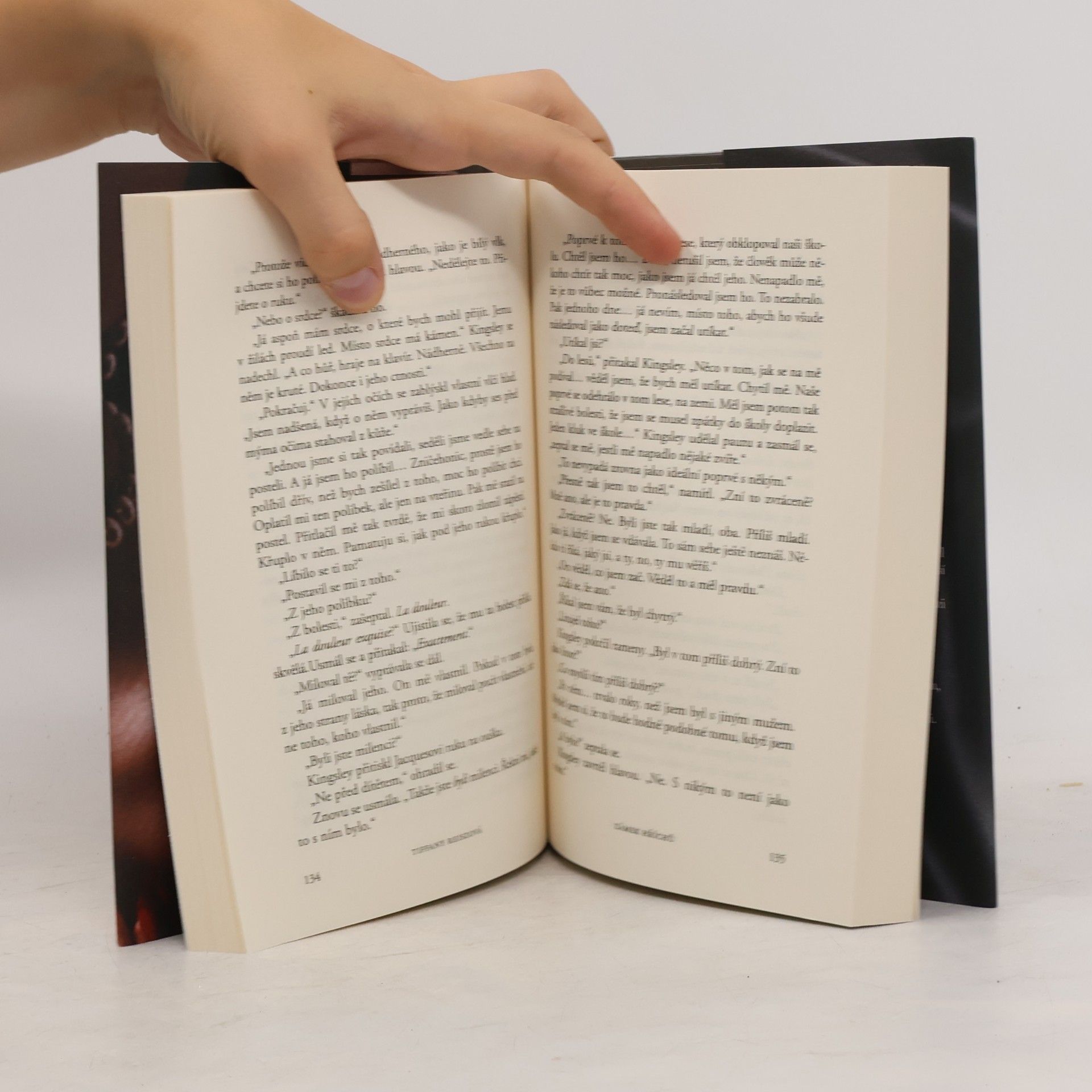 Tiffany Reisz Zámek hříchů
