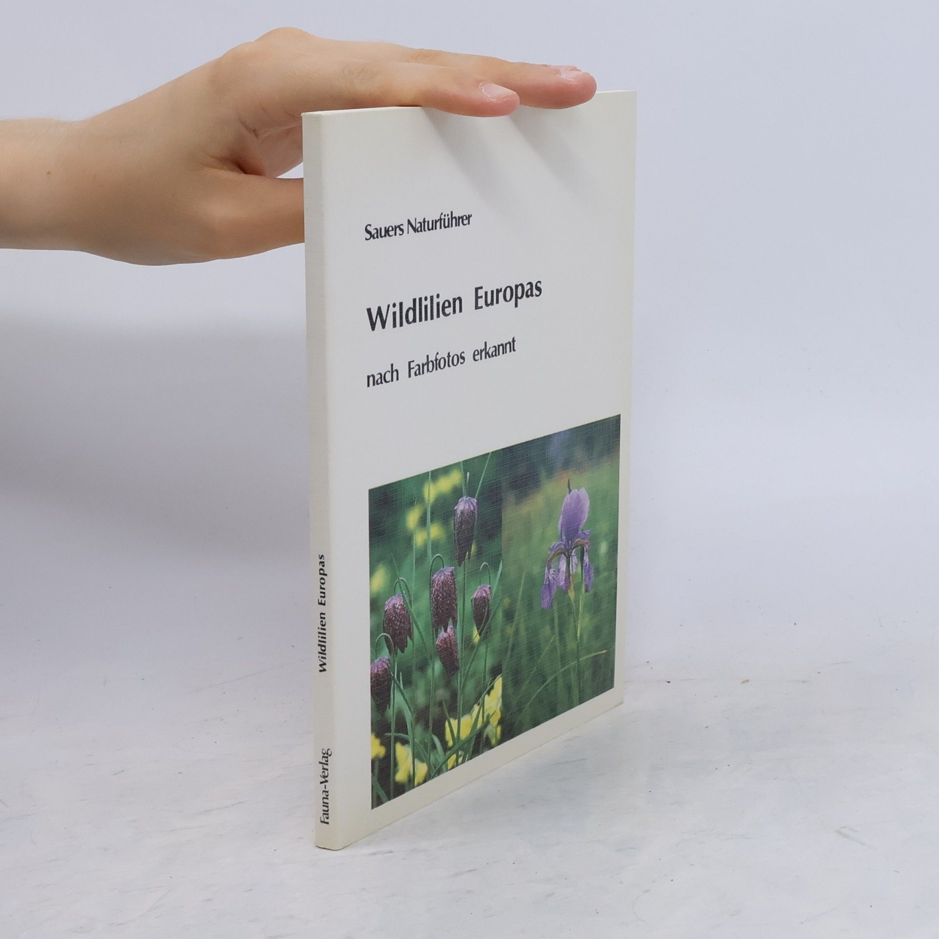 Wildlilien Europas