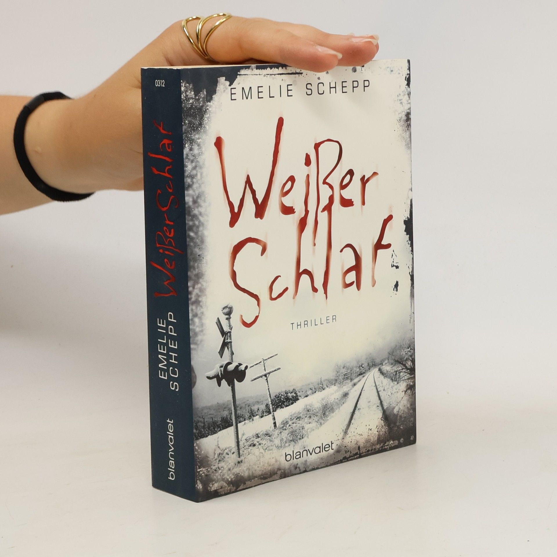 Emelie Schepp Weißer Schlaf